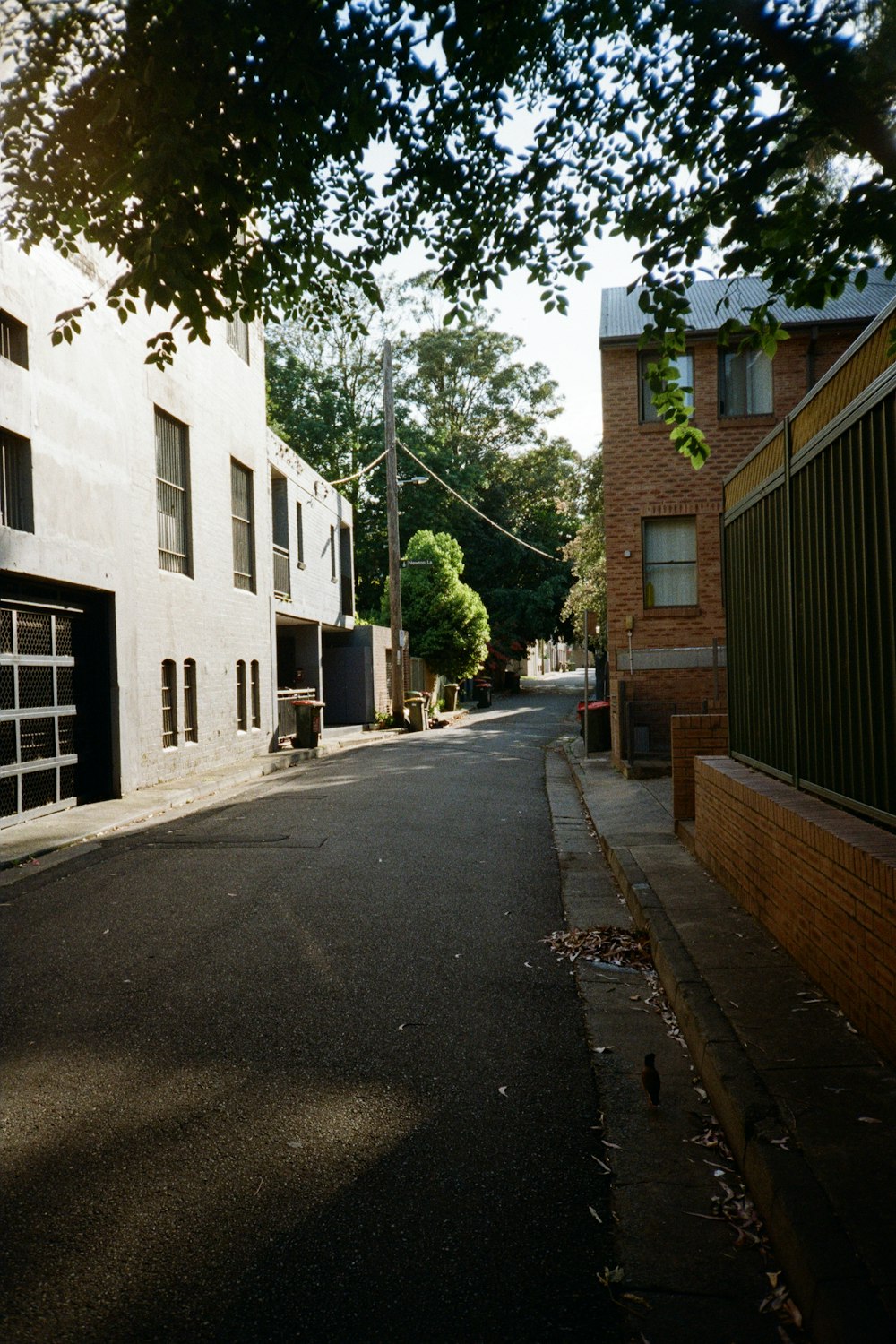 a street with a fire hydrant on the side of it