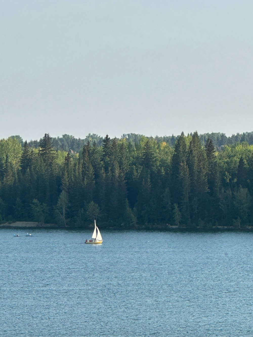 a sailboat on a lake with trees in the background