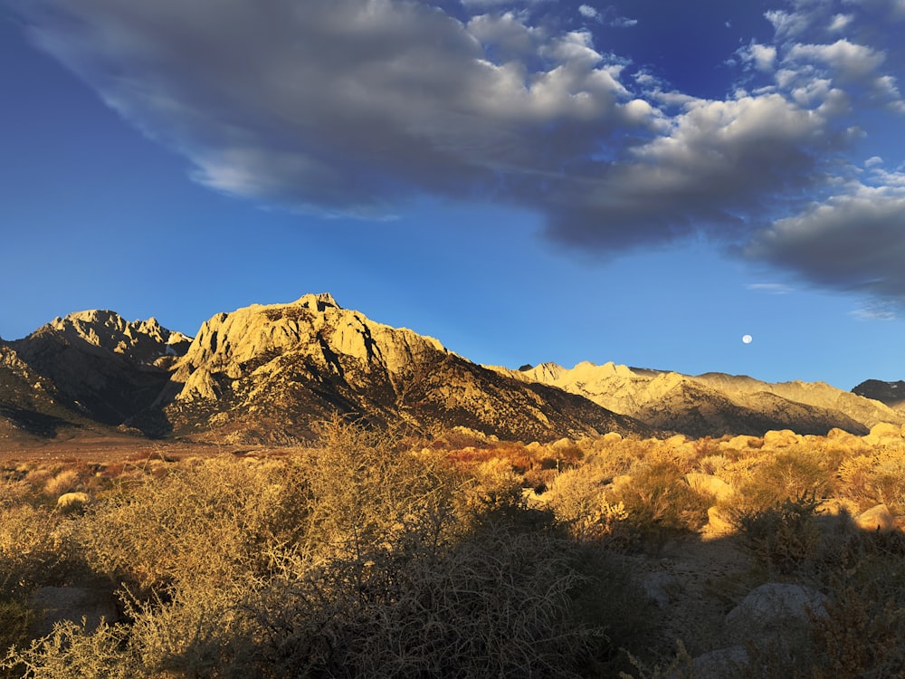 a view of a mountain range in the desert