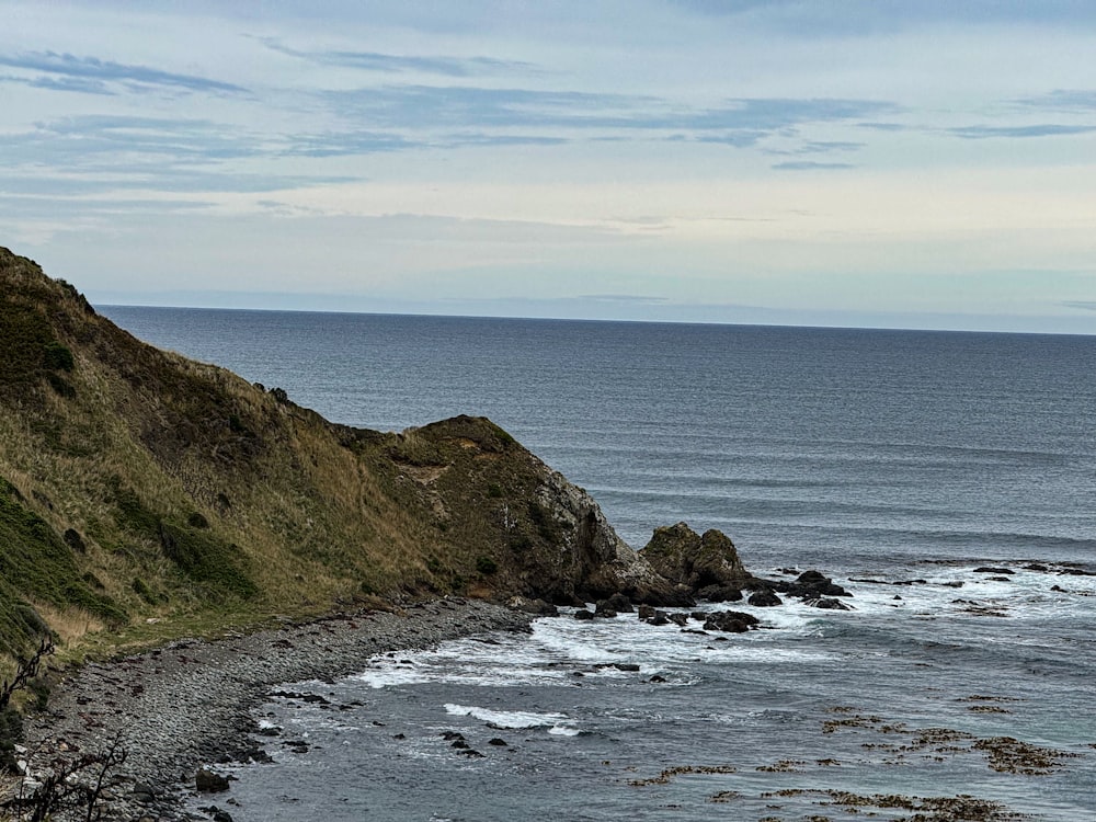 a couple of sheep standing on top of a lush green hillside next to the ocean