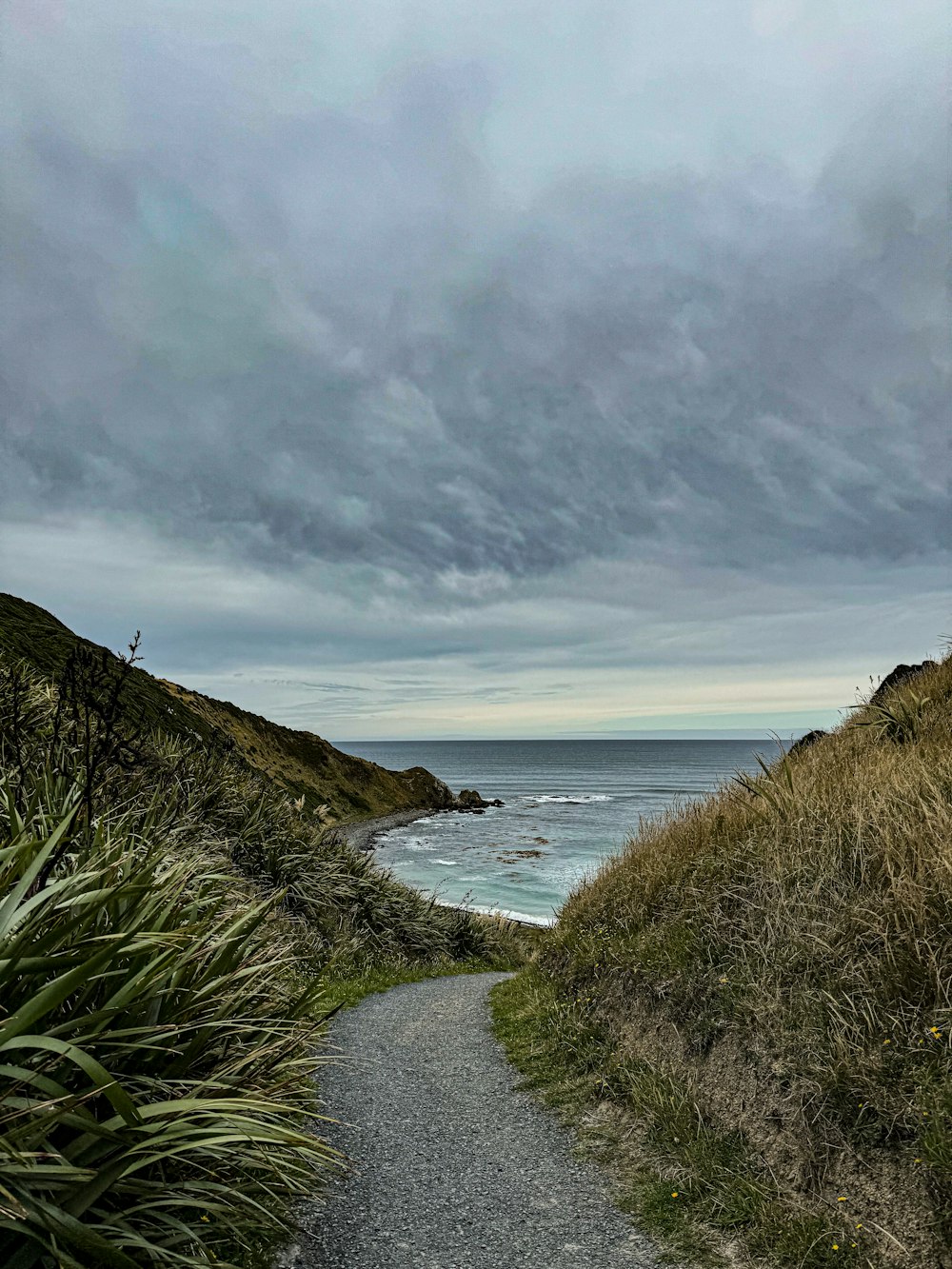 a path leading to the ocean on a cloudy day