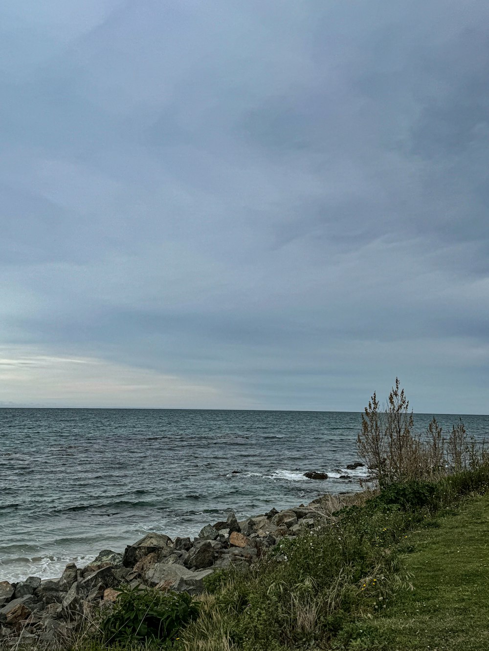 a bench sitting on top of a grass covered hillside next to the ocean