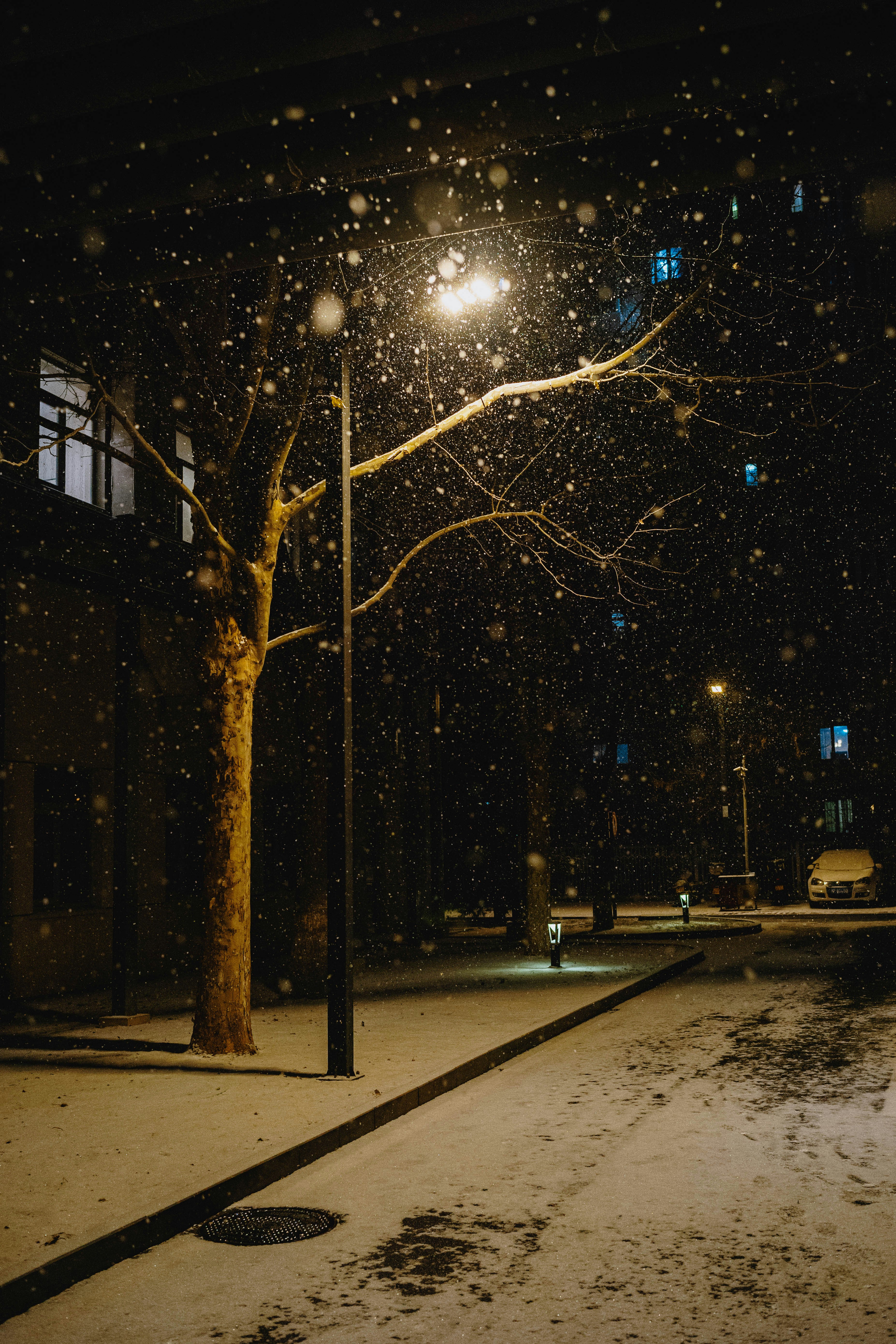 Photo by tommaomaoer