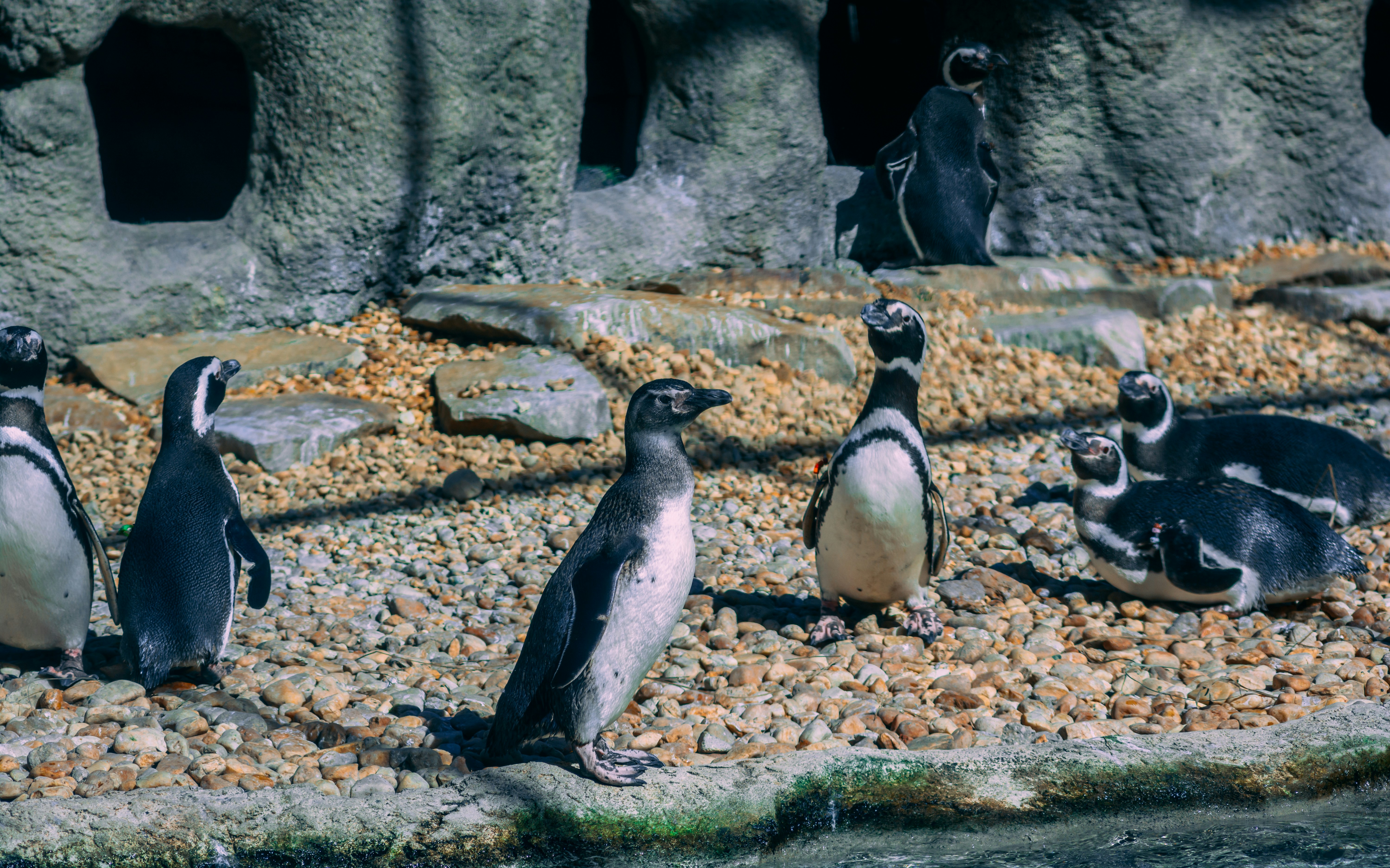 Photo by mhgfxdesign