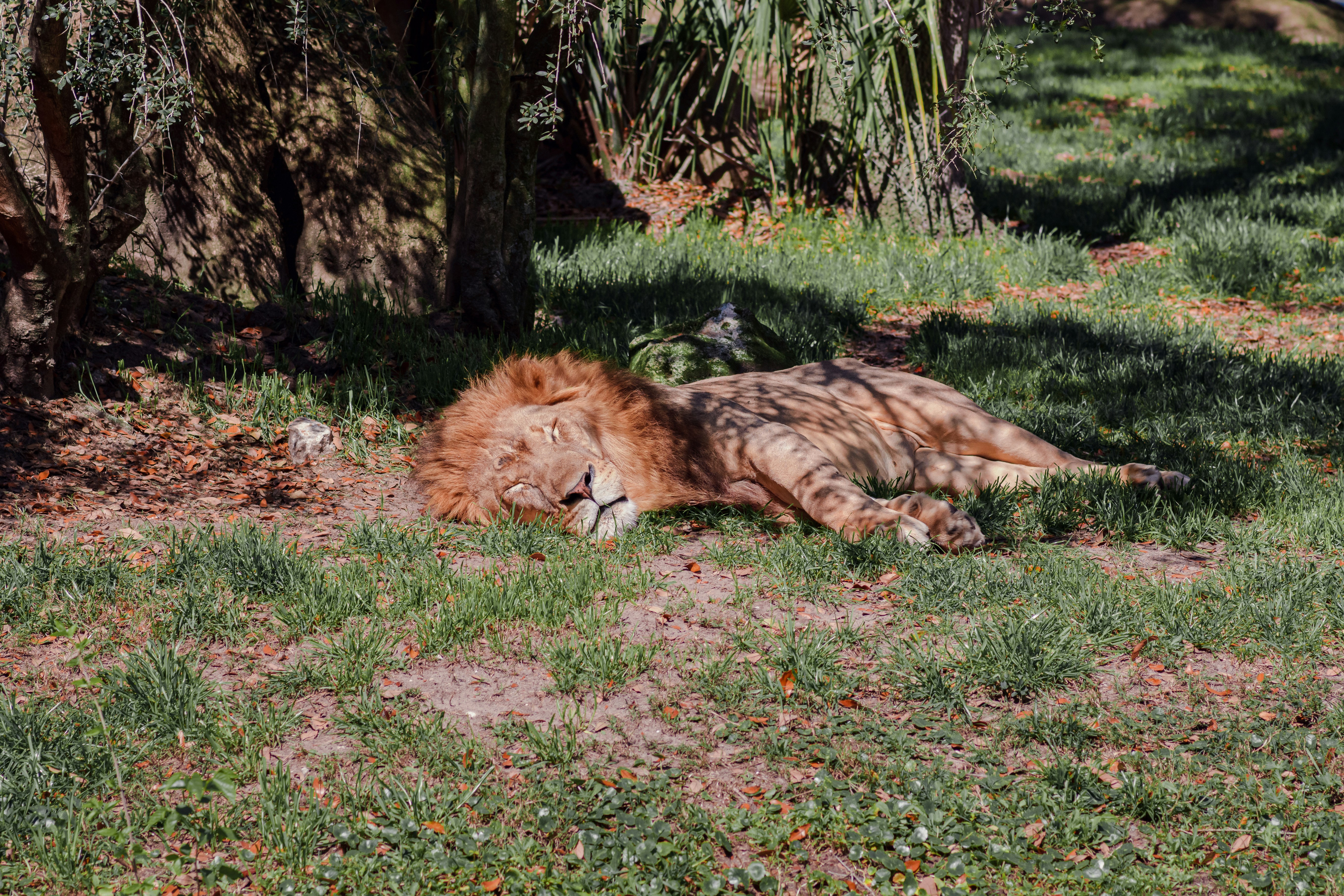 Photo by mhgfxdesign