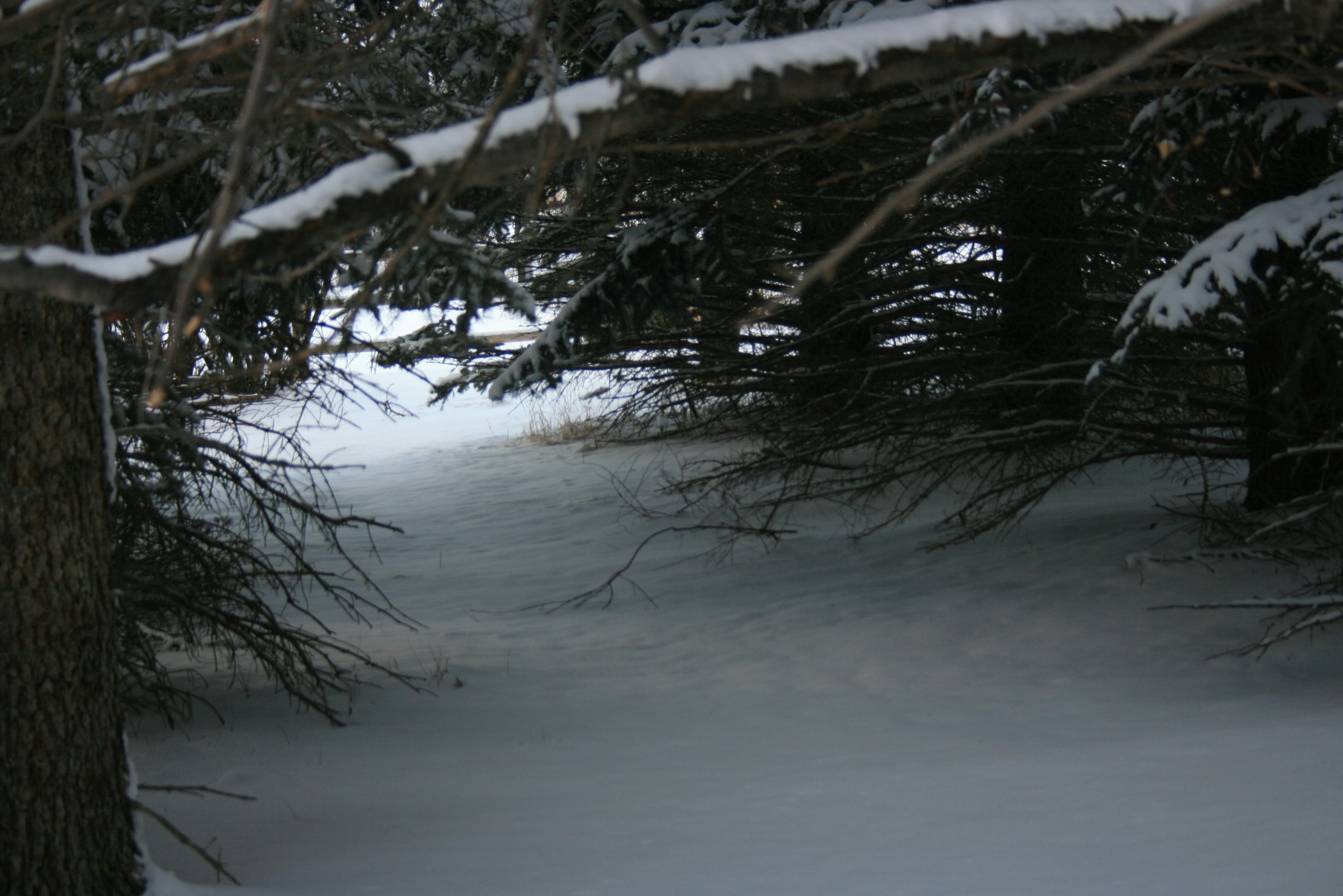 Photo by live_a_little08