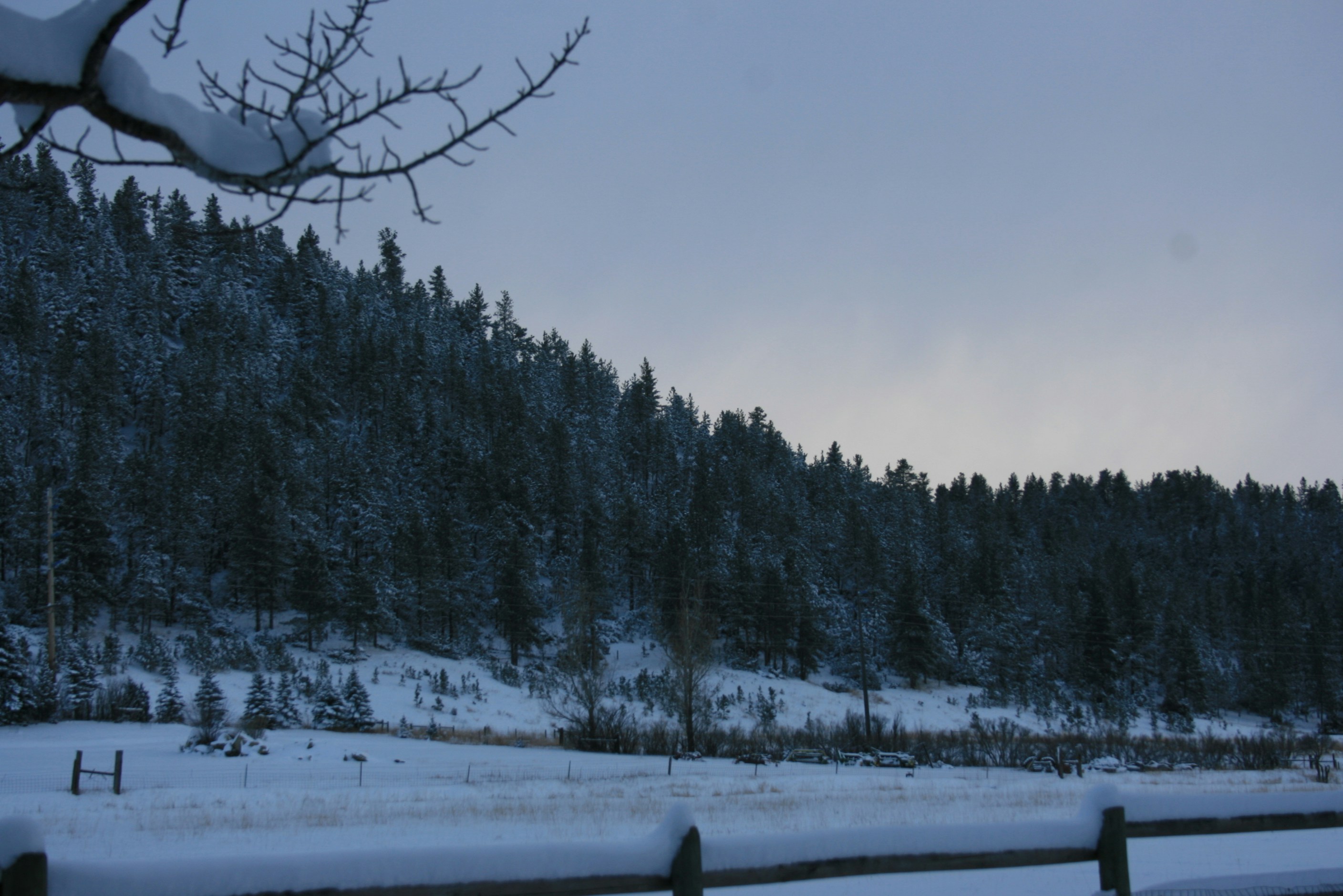 Photo by live_a_little08