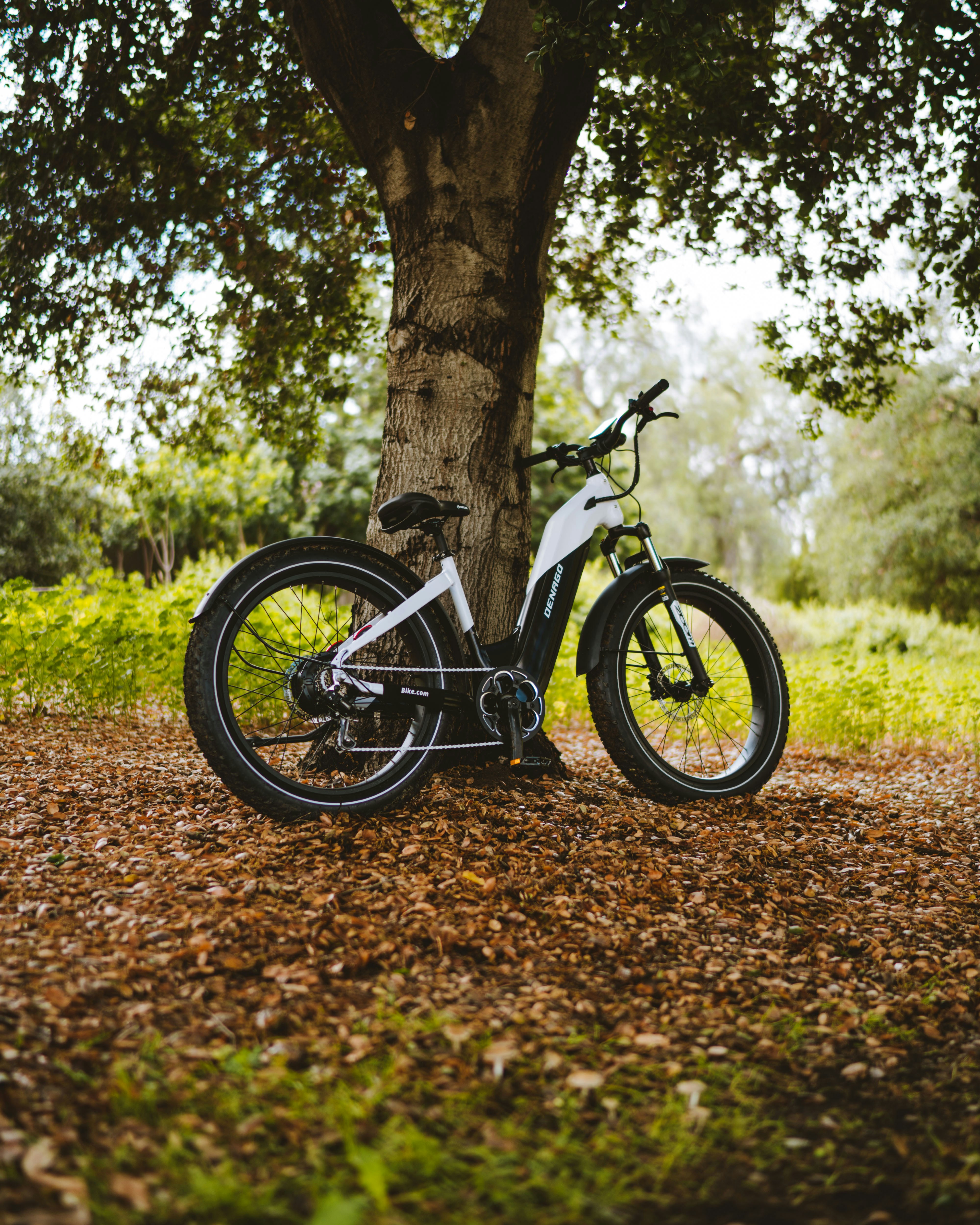 Photo by denagoebikes