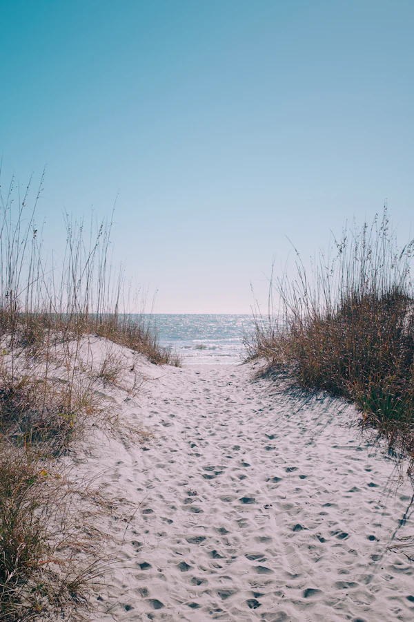 Sandy path leading to the ocean