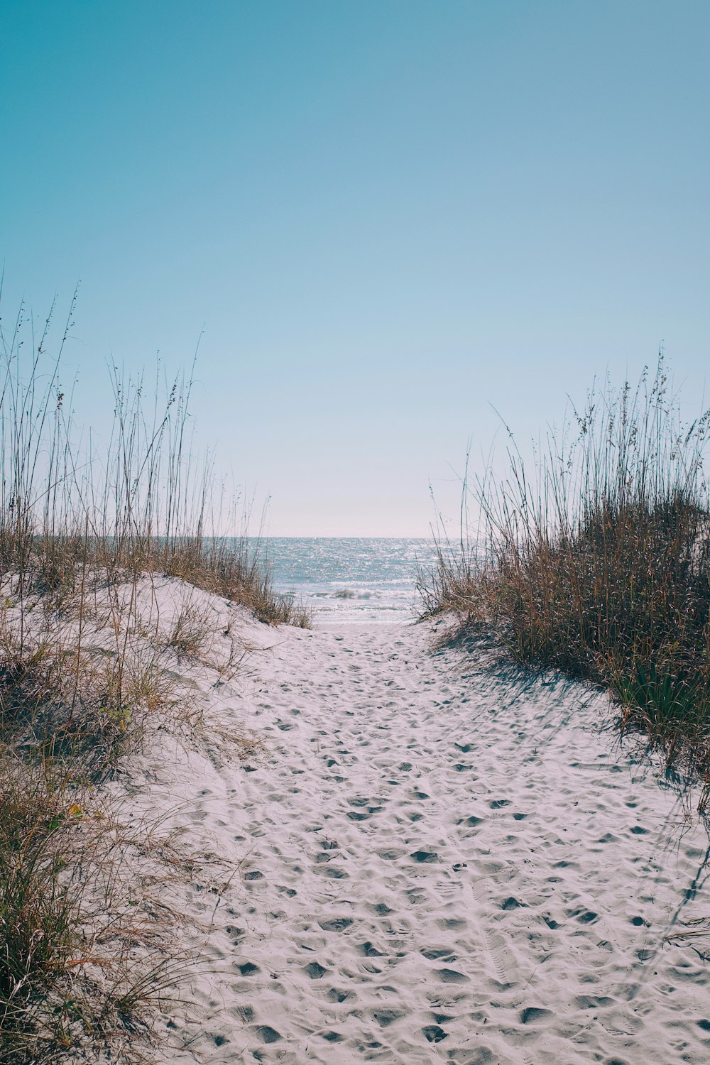 a sandy path leading to the ocean on a sunny day