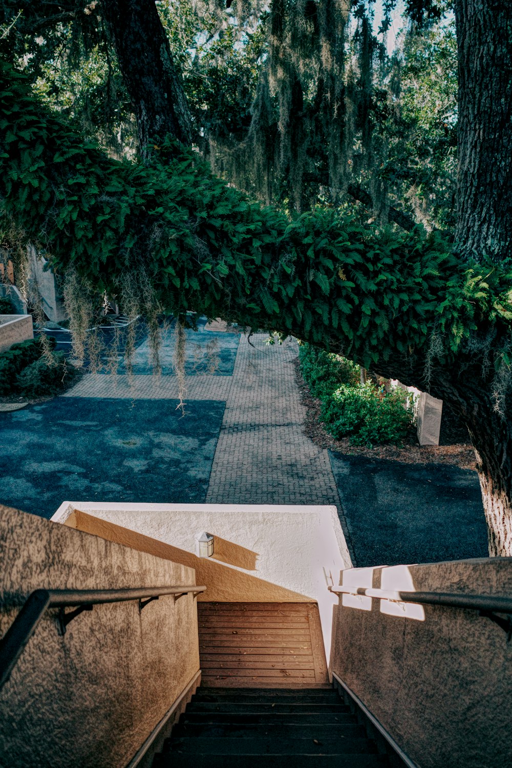 a set of stairs leading up to a tree