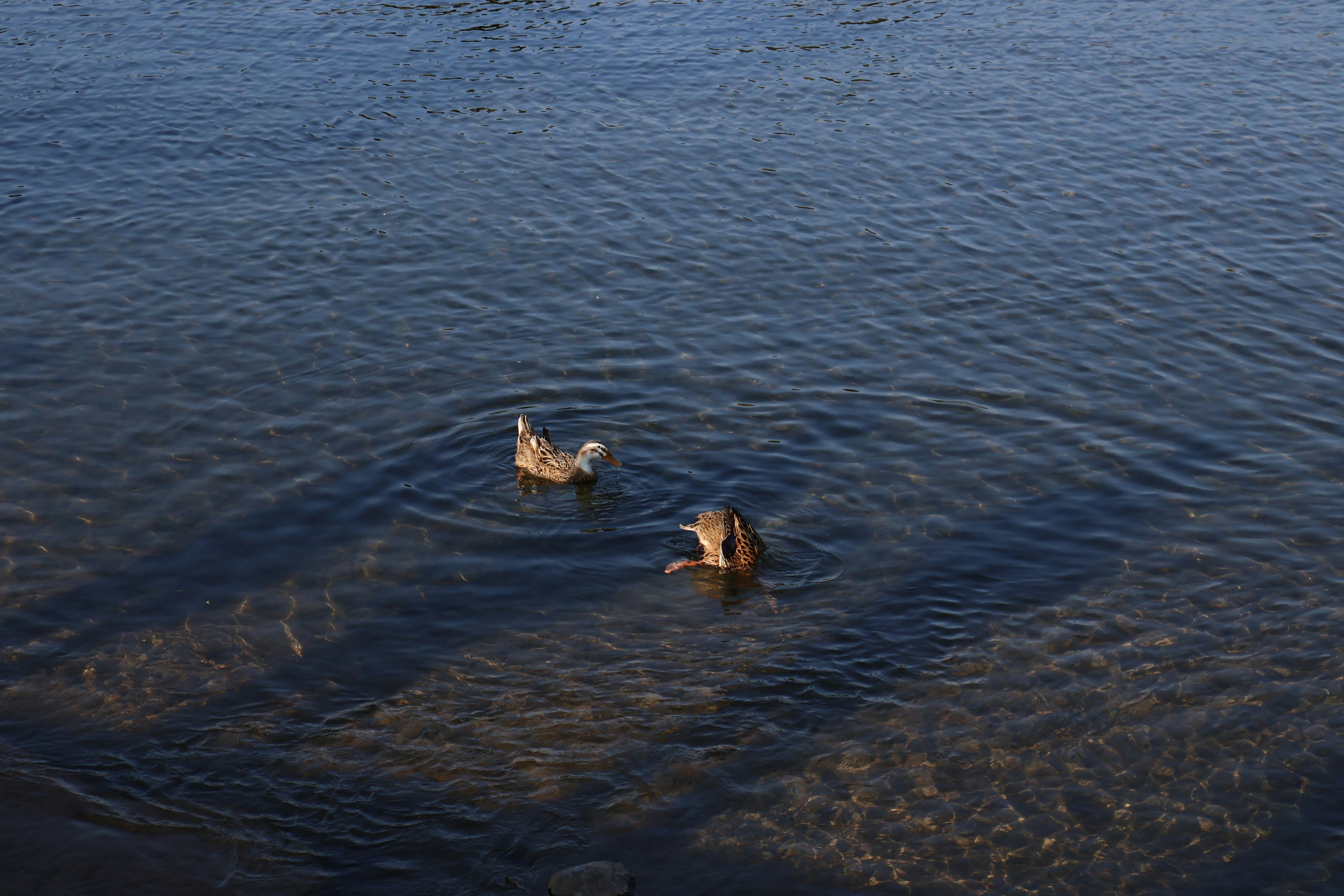 Photo by vickeekiwiwow