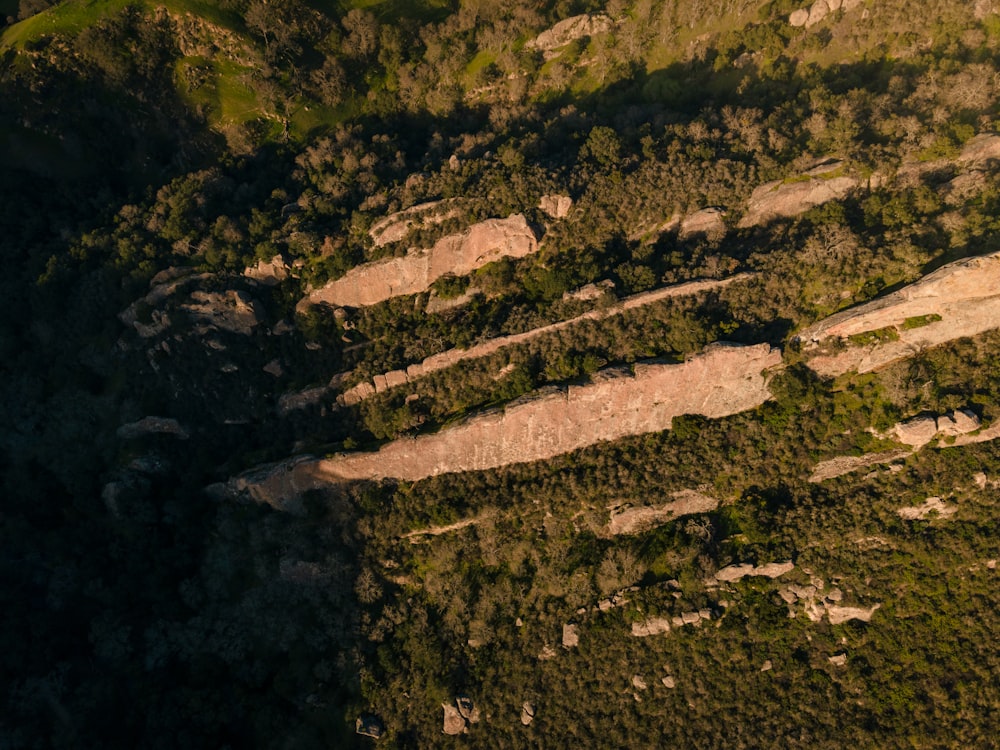 an aerial view of a forested area with rocks and trees