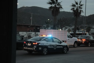 a police car driving down a street next to palm trees