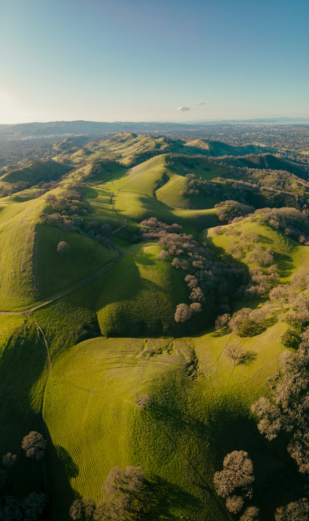 an aerial view of a lush green field