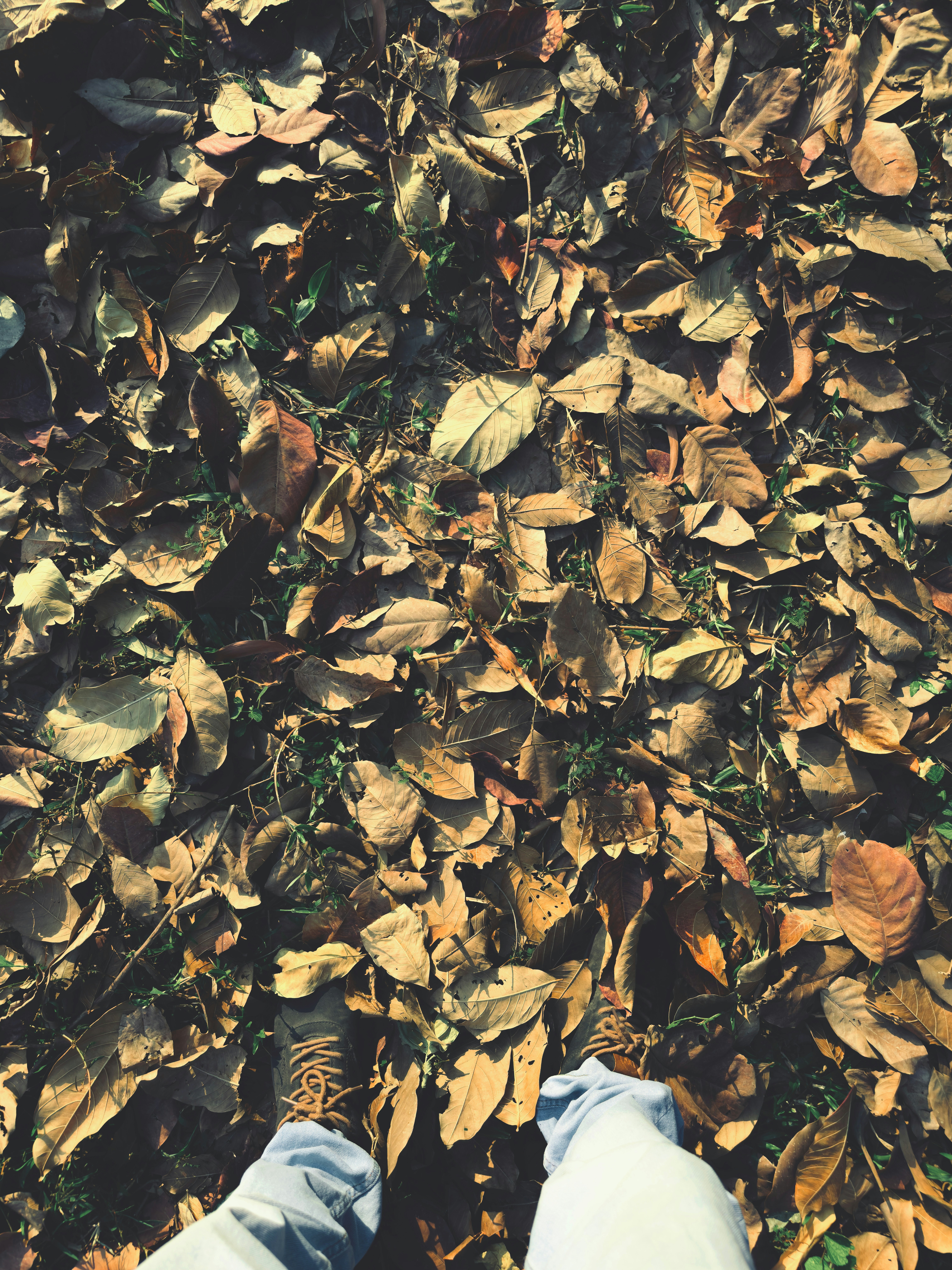 Photo by shakib2777
