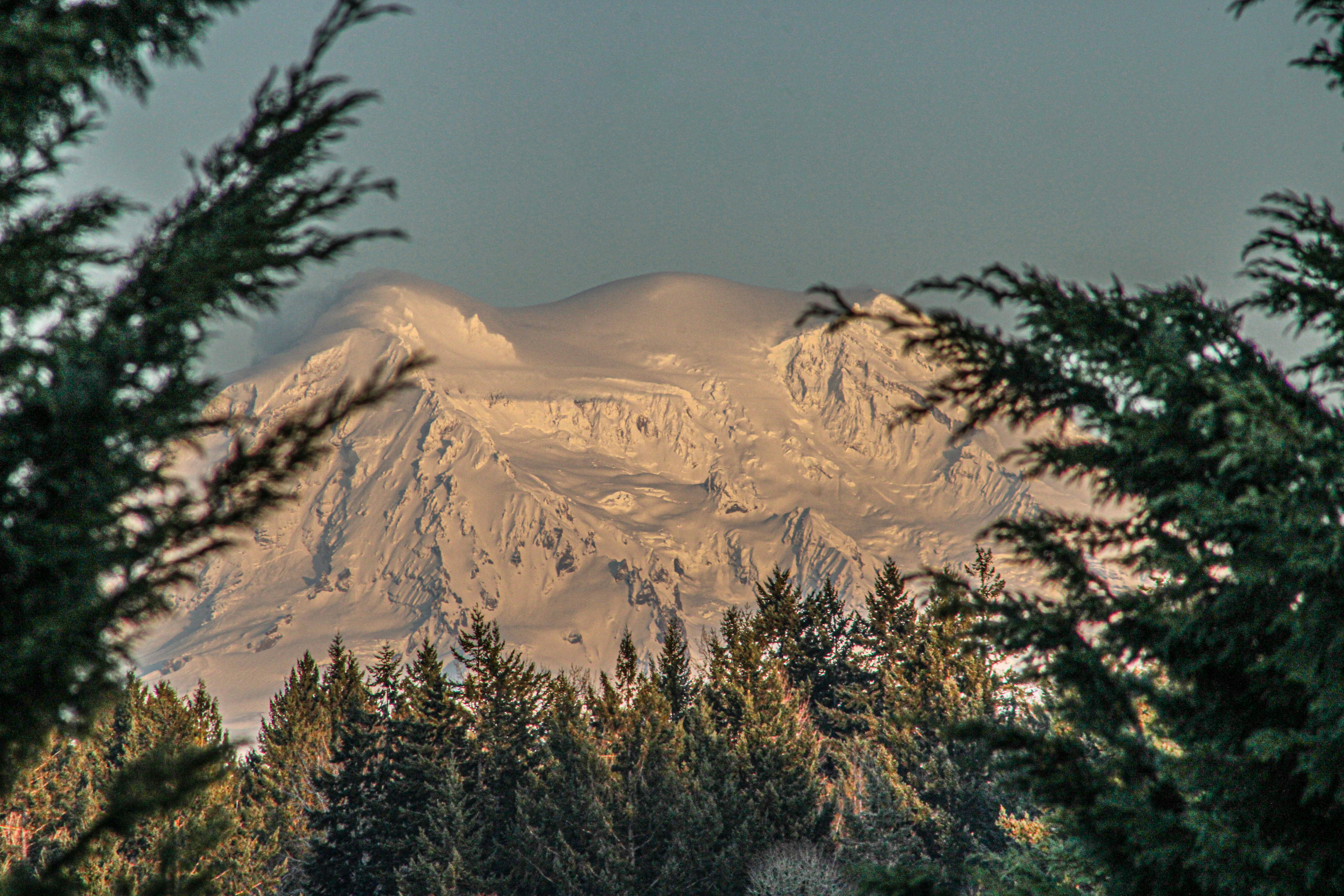 Photo by prphotography262