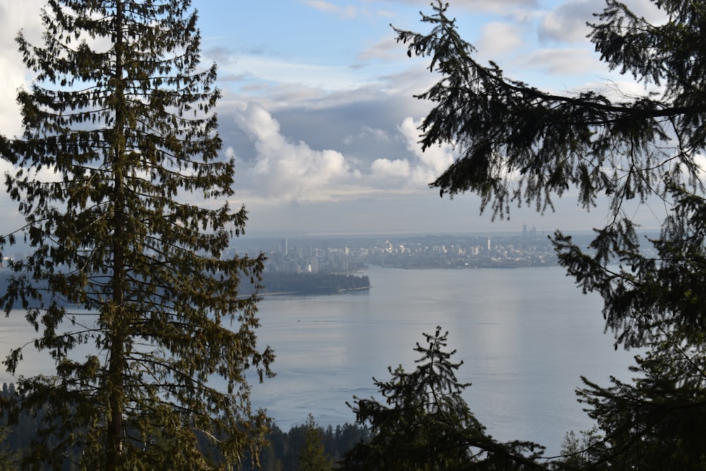 a view of a body of water through some trees