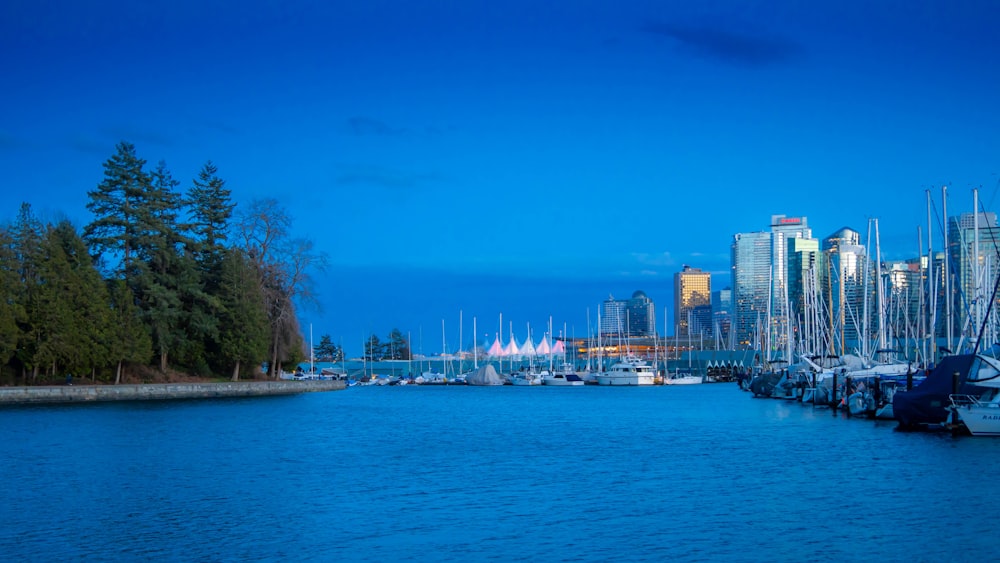 a harbor filled with lots of boats next to tall buildings