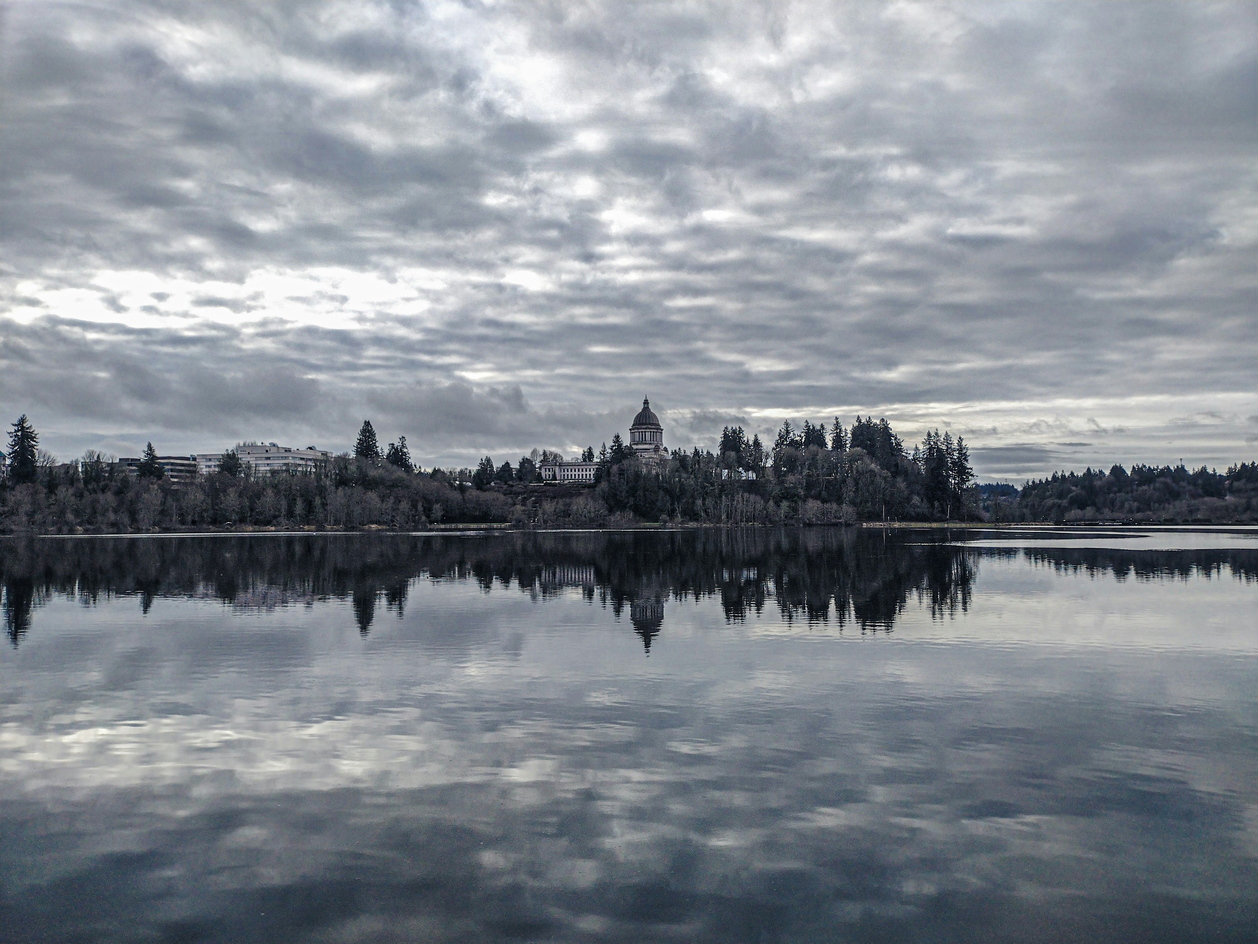 a large body of water surrounded by trees