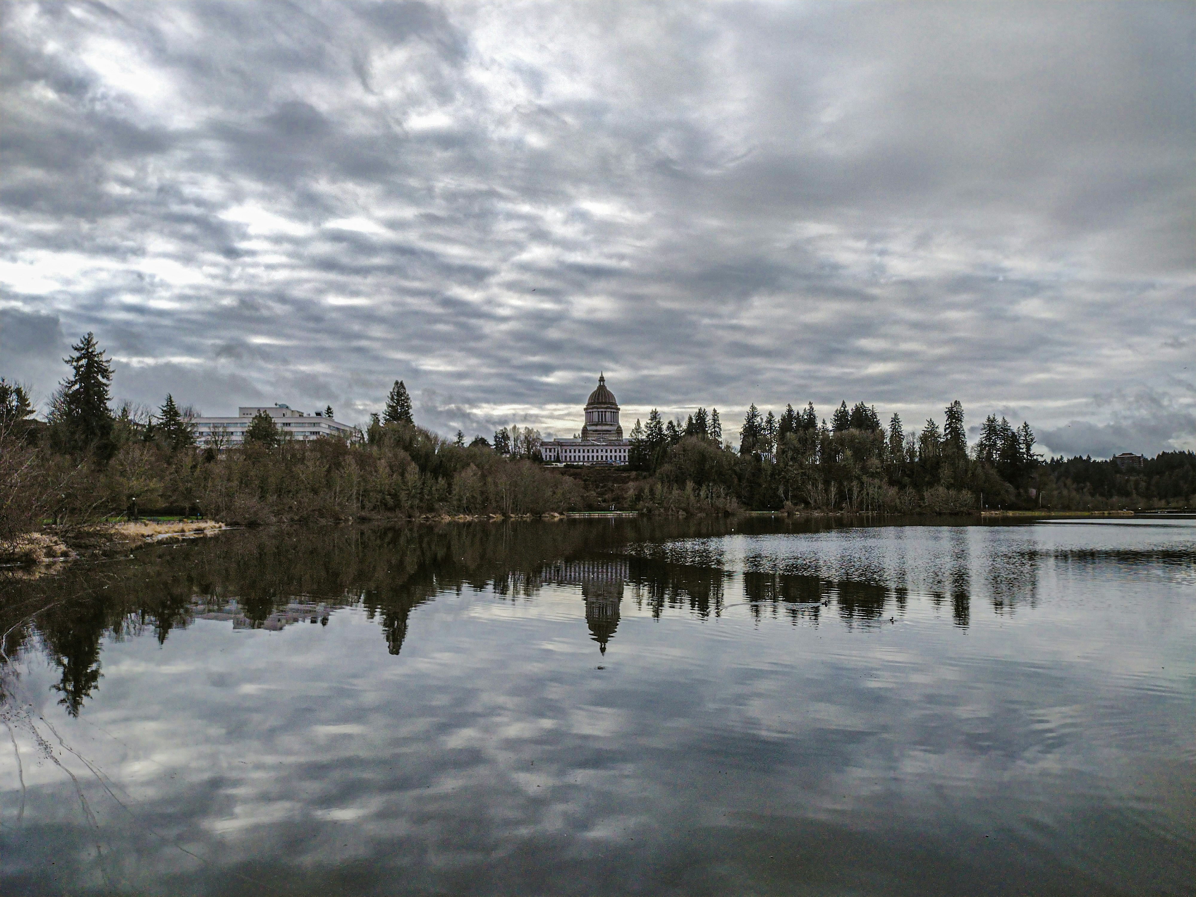 a large body of water surrounded by trees