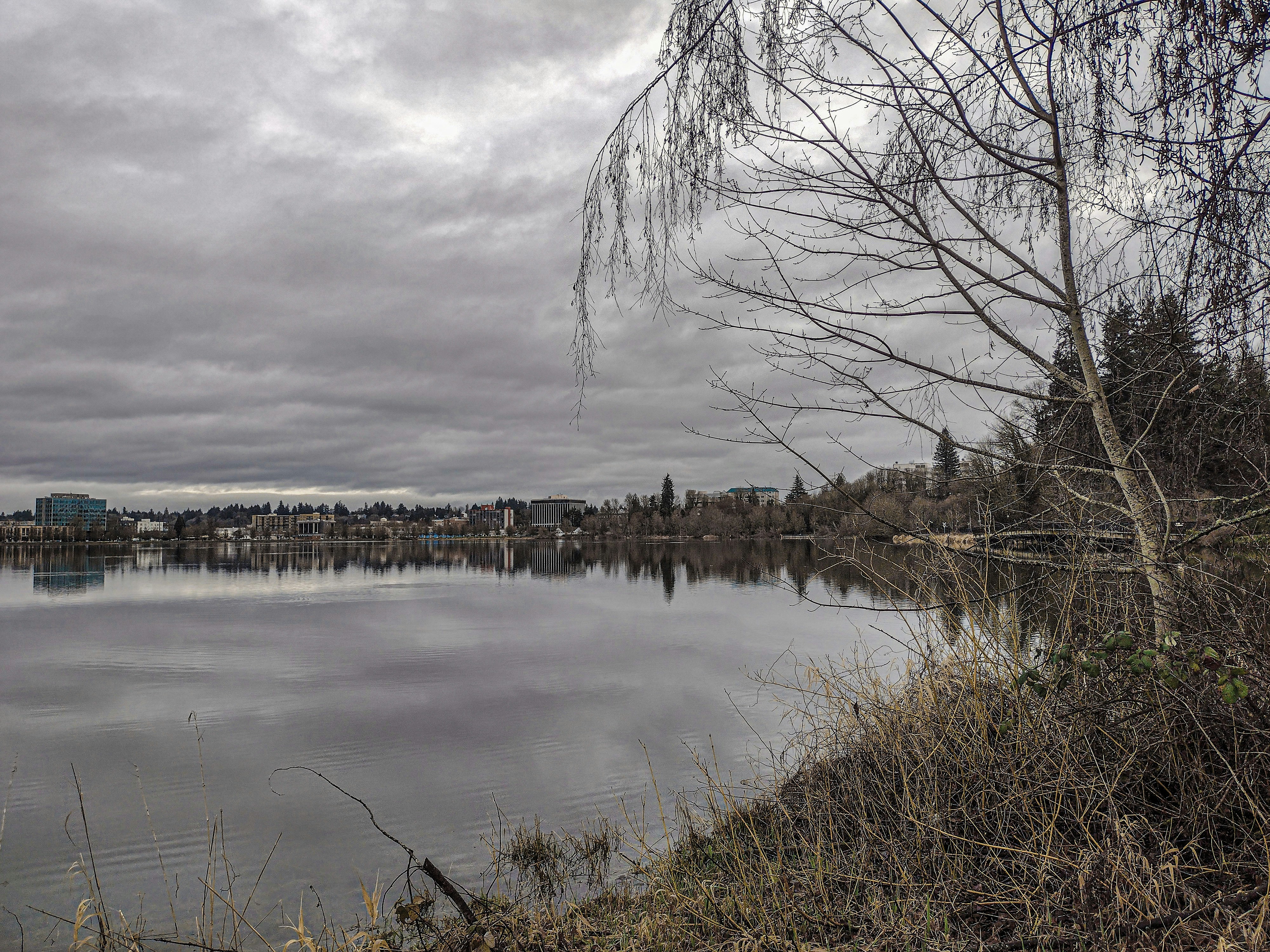 Containers in Lake Arrowhead, CA