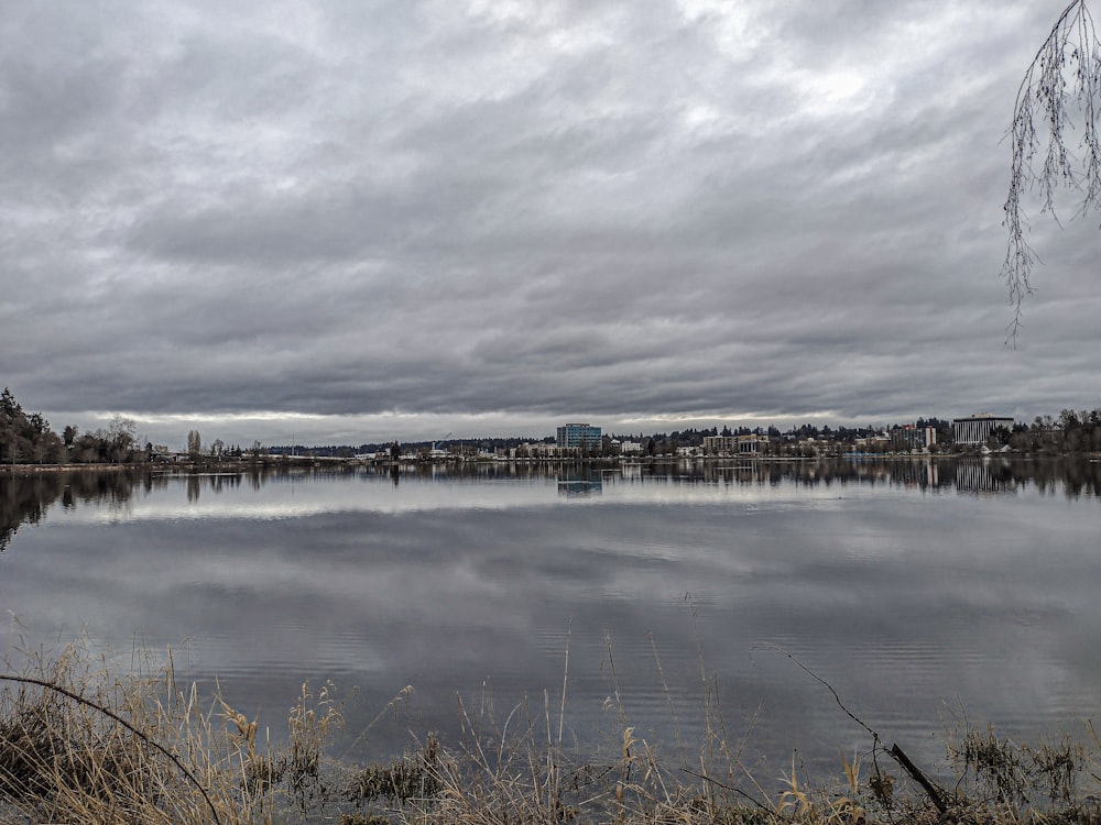 a large body of water surrounded by a forest