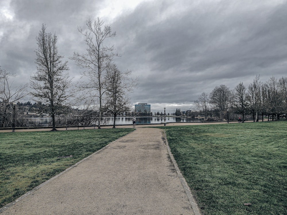 a path in a park with a building in the background