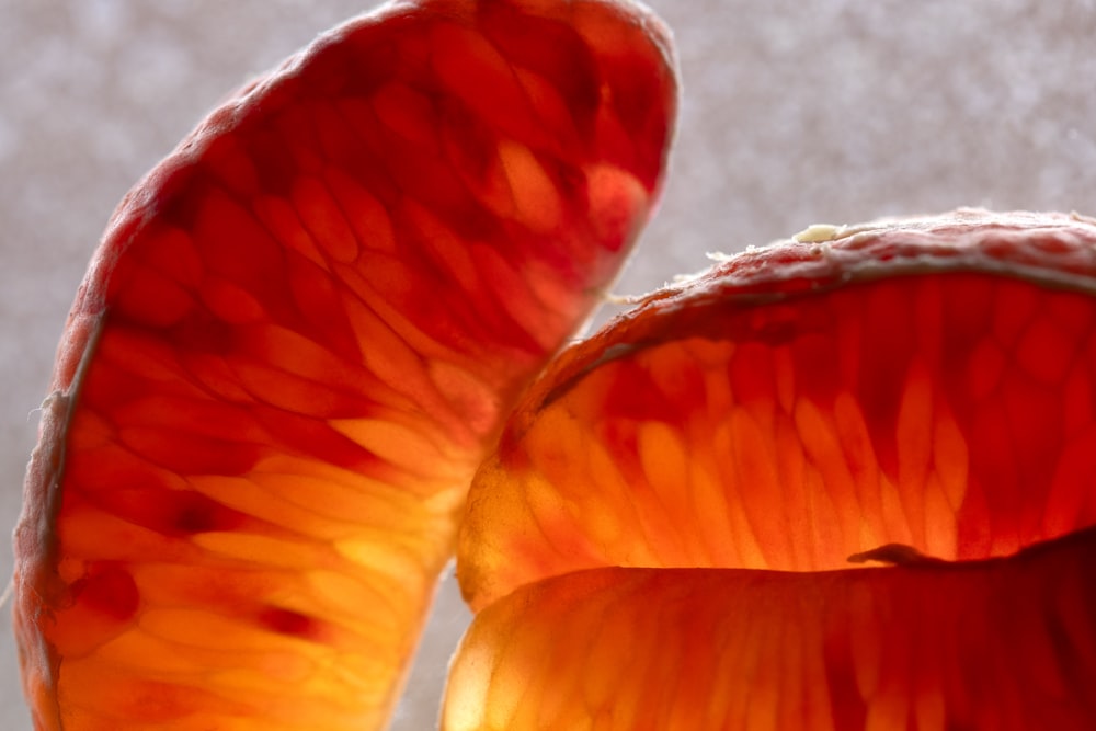 a close up of a red and yellow flower