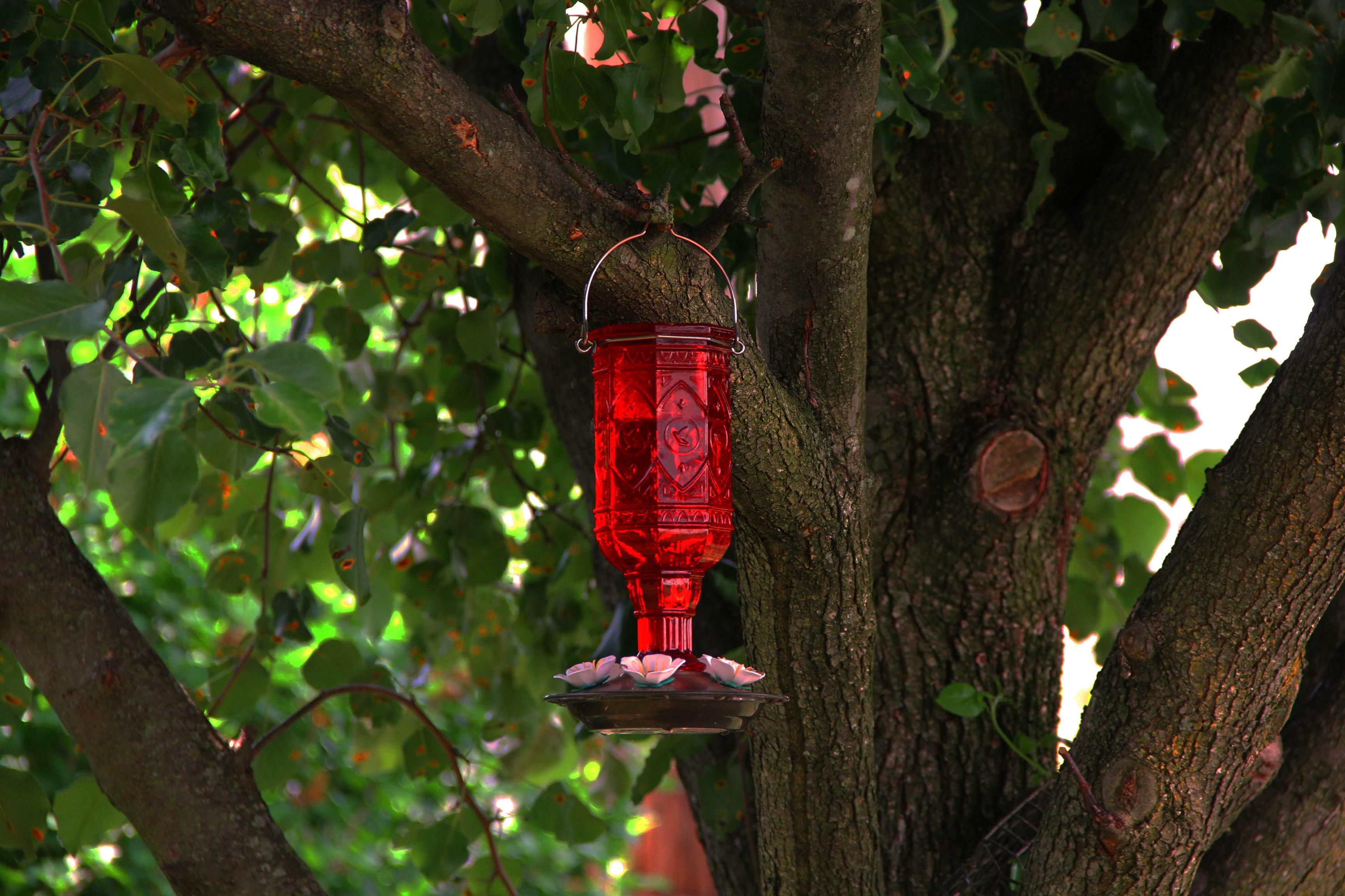 Photo by graceboburka