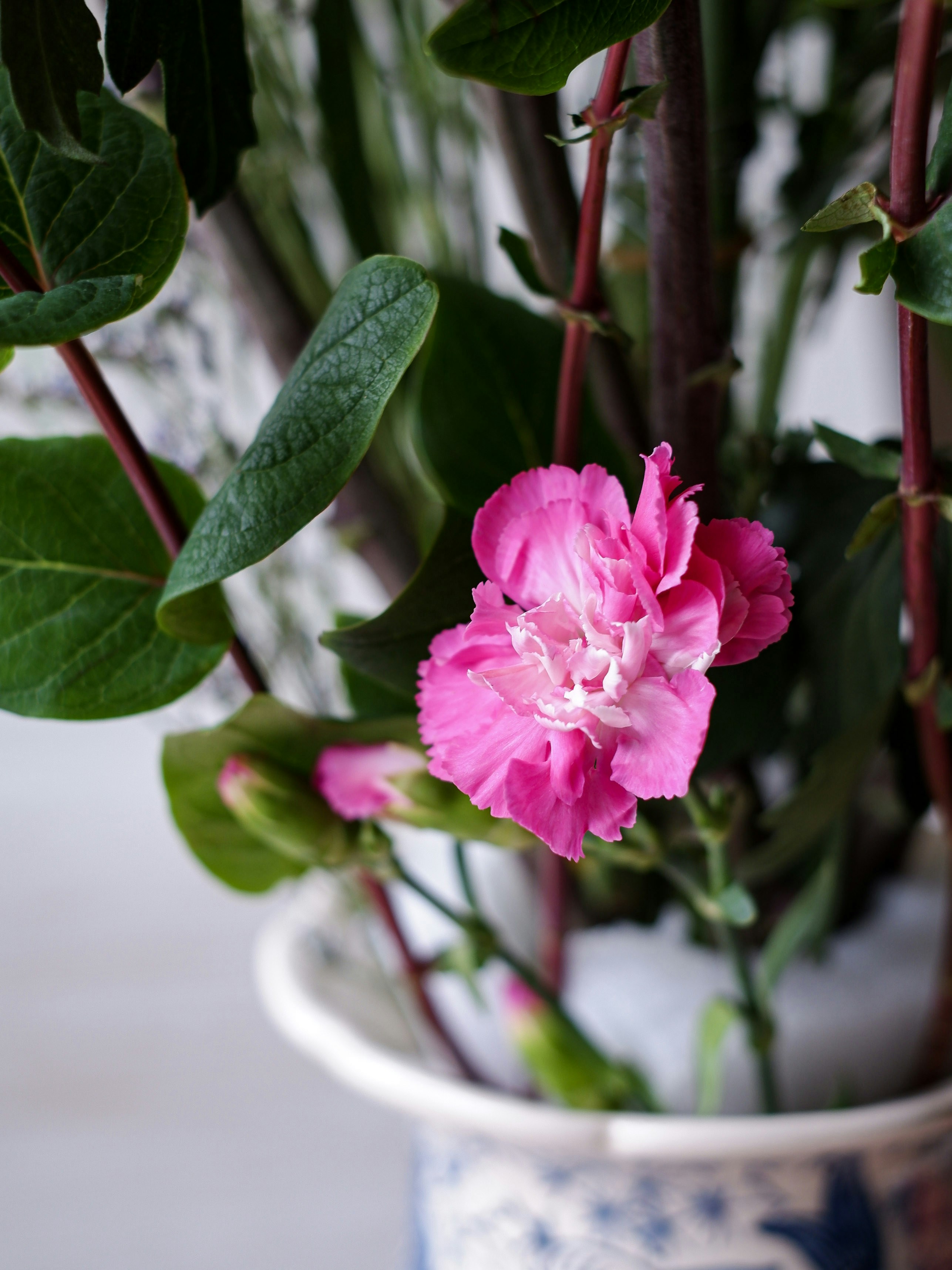 Photo by littlefoodiejojo