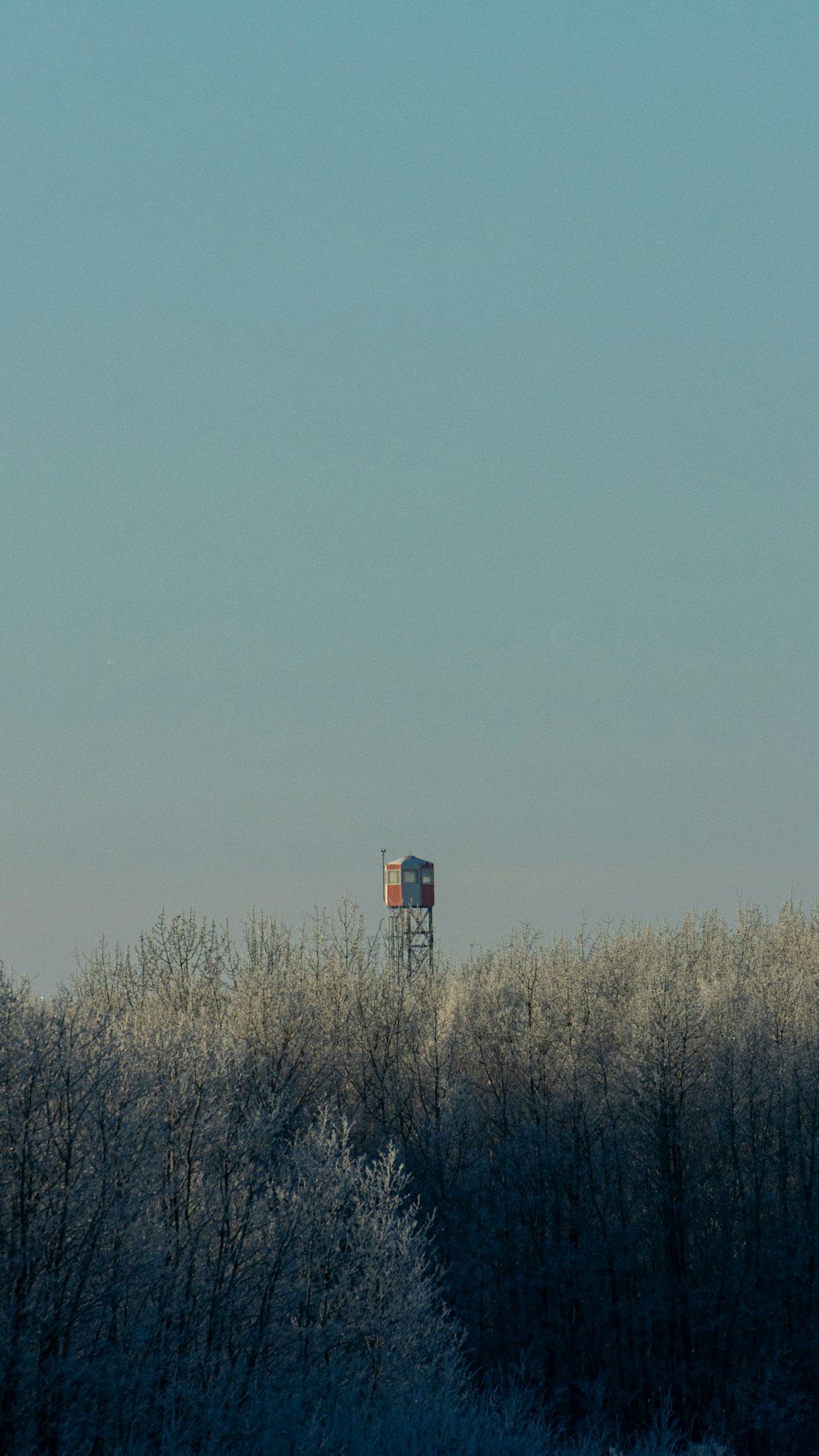 a tall tower in the middle of a forest