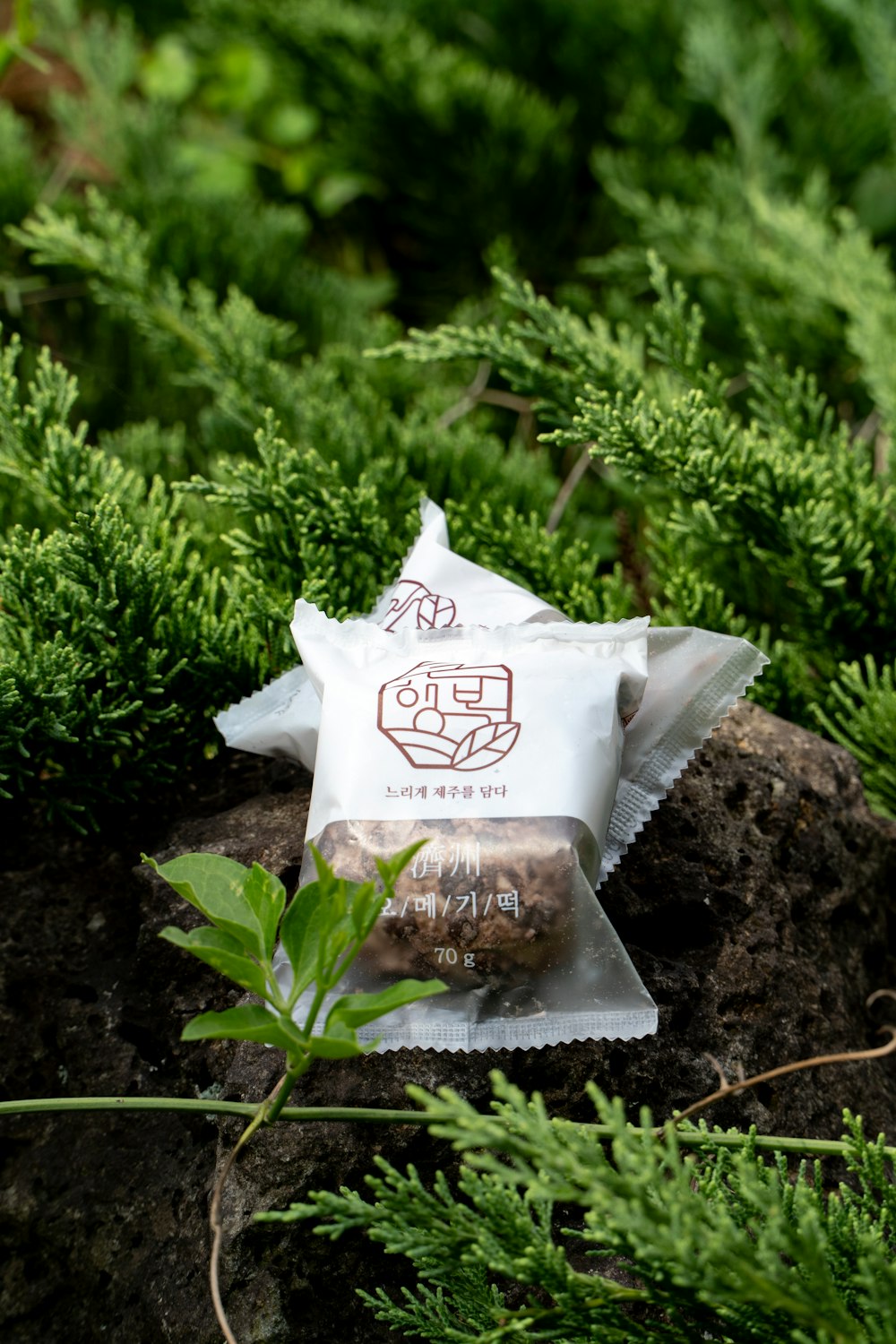 a bag of food sitting on top of a rock