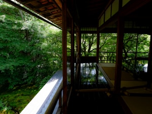 a room with a view of a river and trees
