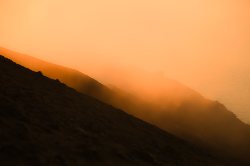 a bird flying over the top of a hill