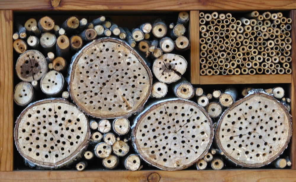 a box filled with lots of different types of bees