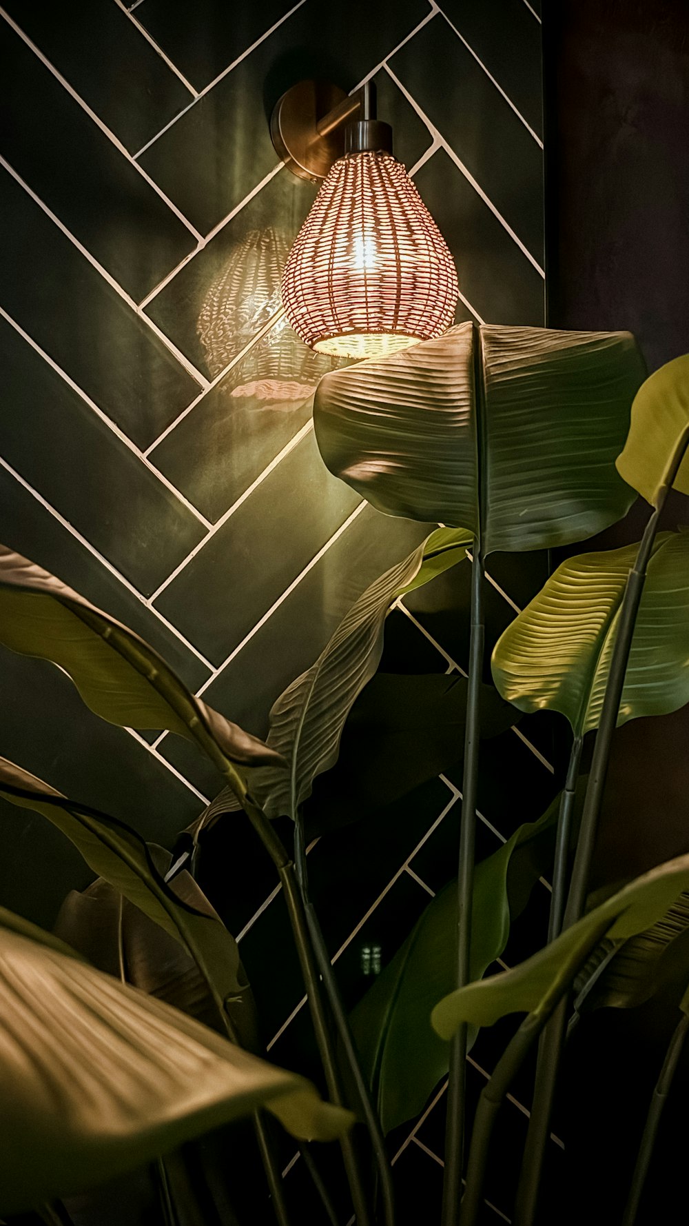 a light that is on a wall next to a plant