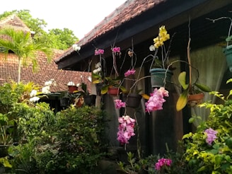 a house with a lot of flowers growing on the side of it