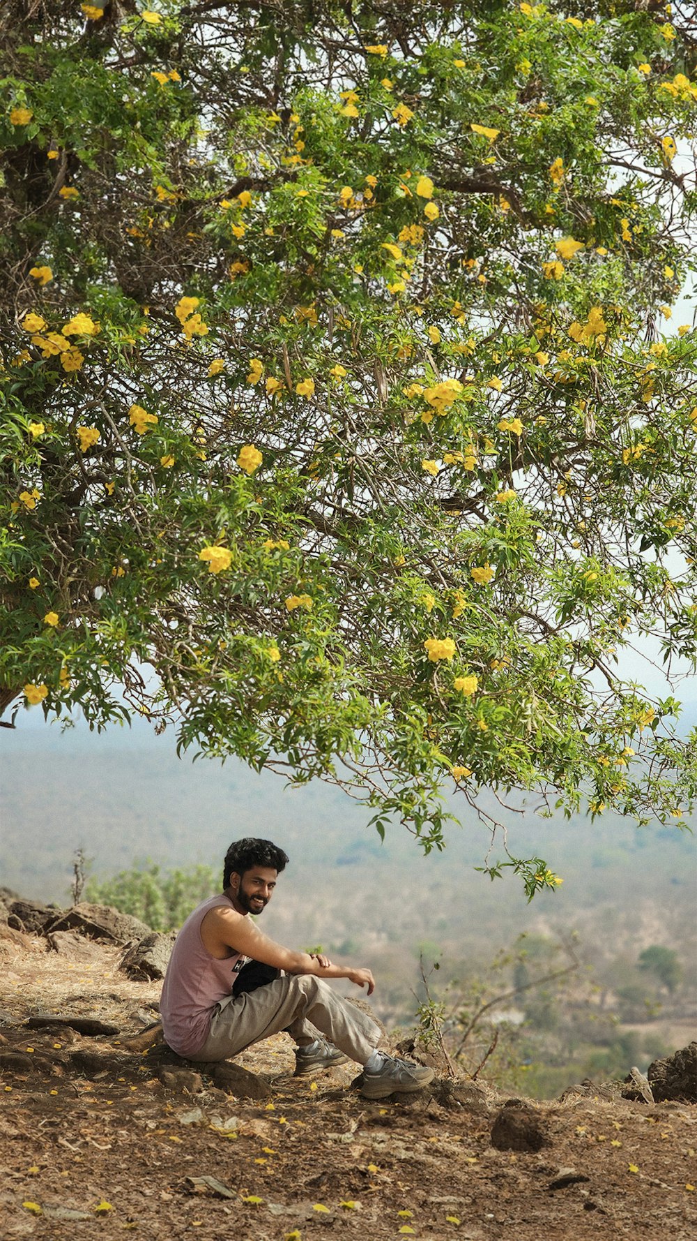 a man sitting under a tree on top of a hill