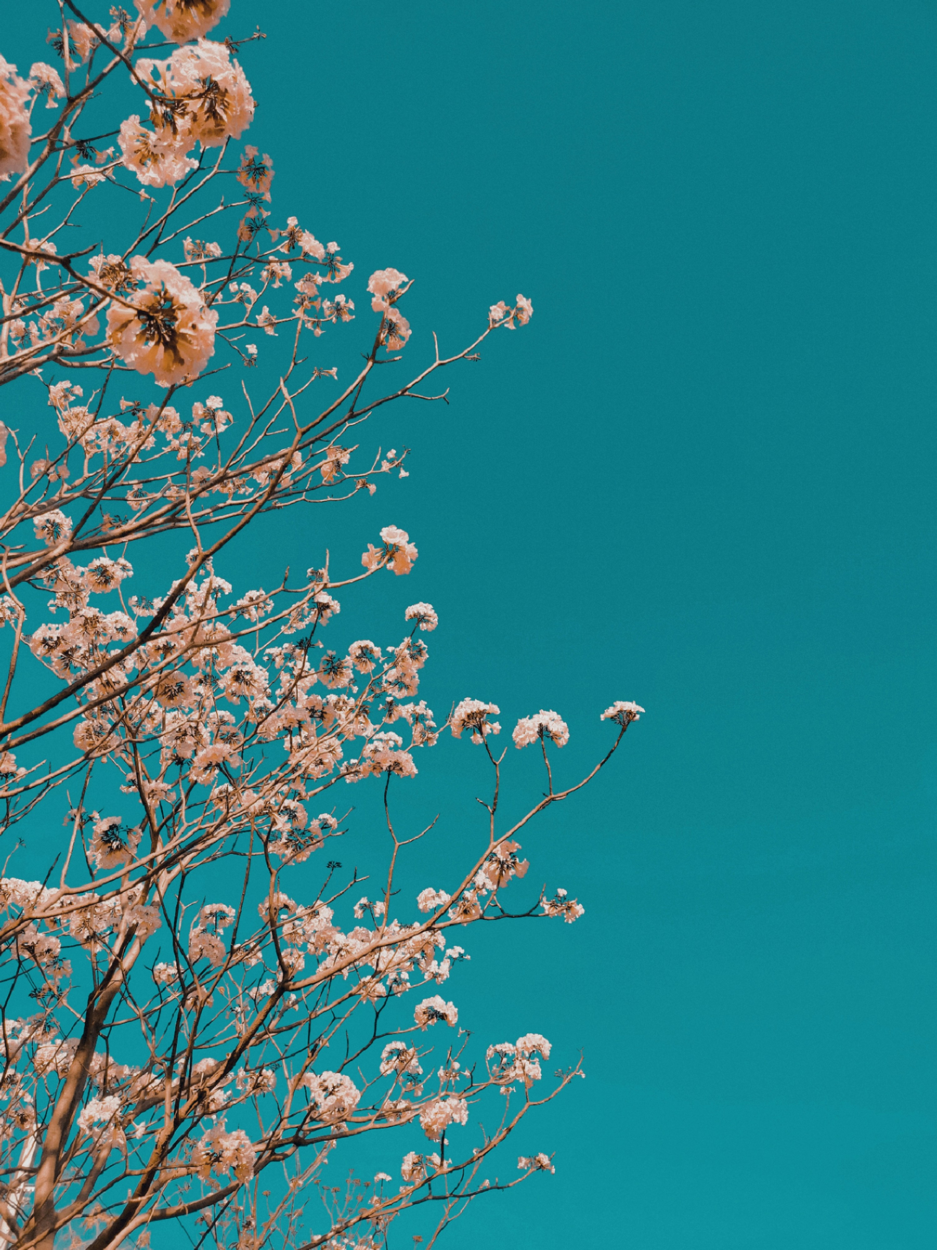 Photo by anandramavath_786