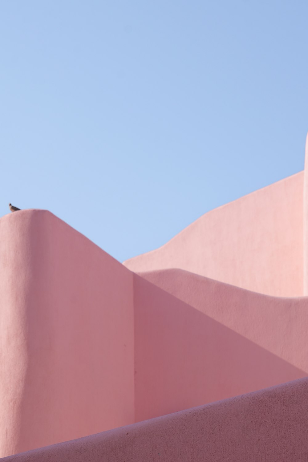 un uccello è appollaiato in cima a un edificio rosa