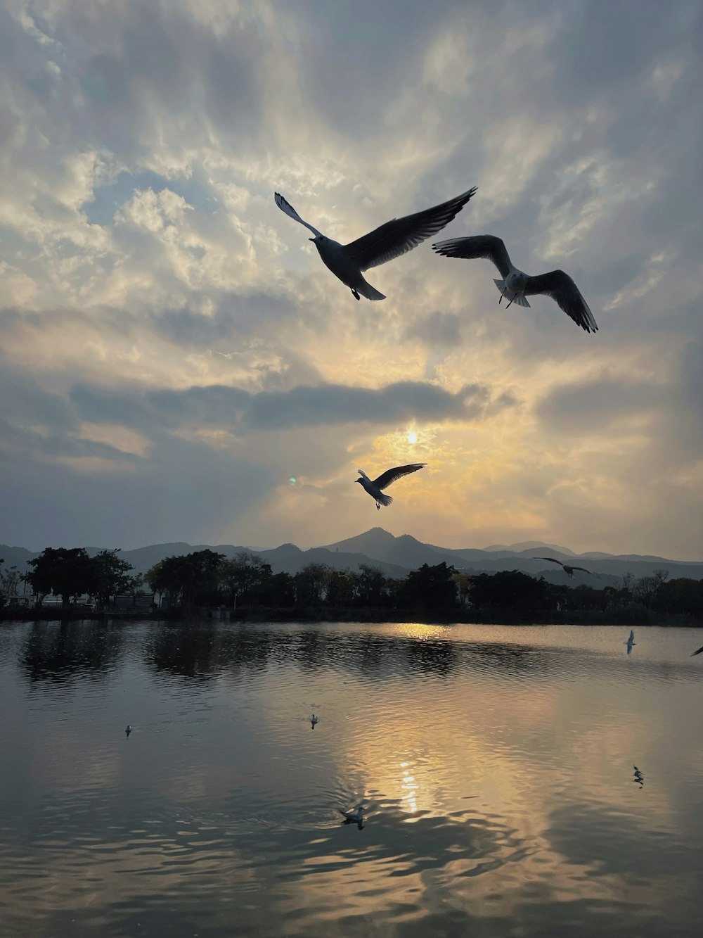 a couple of birds flying over a body of water