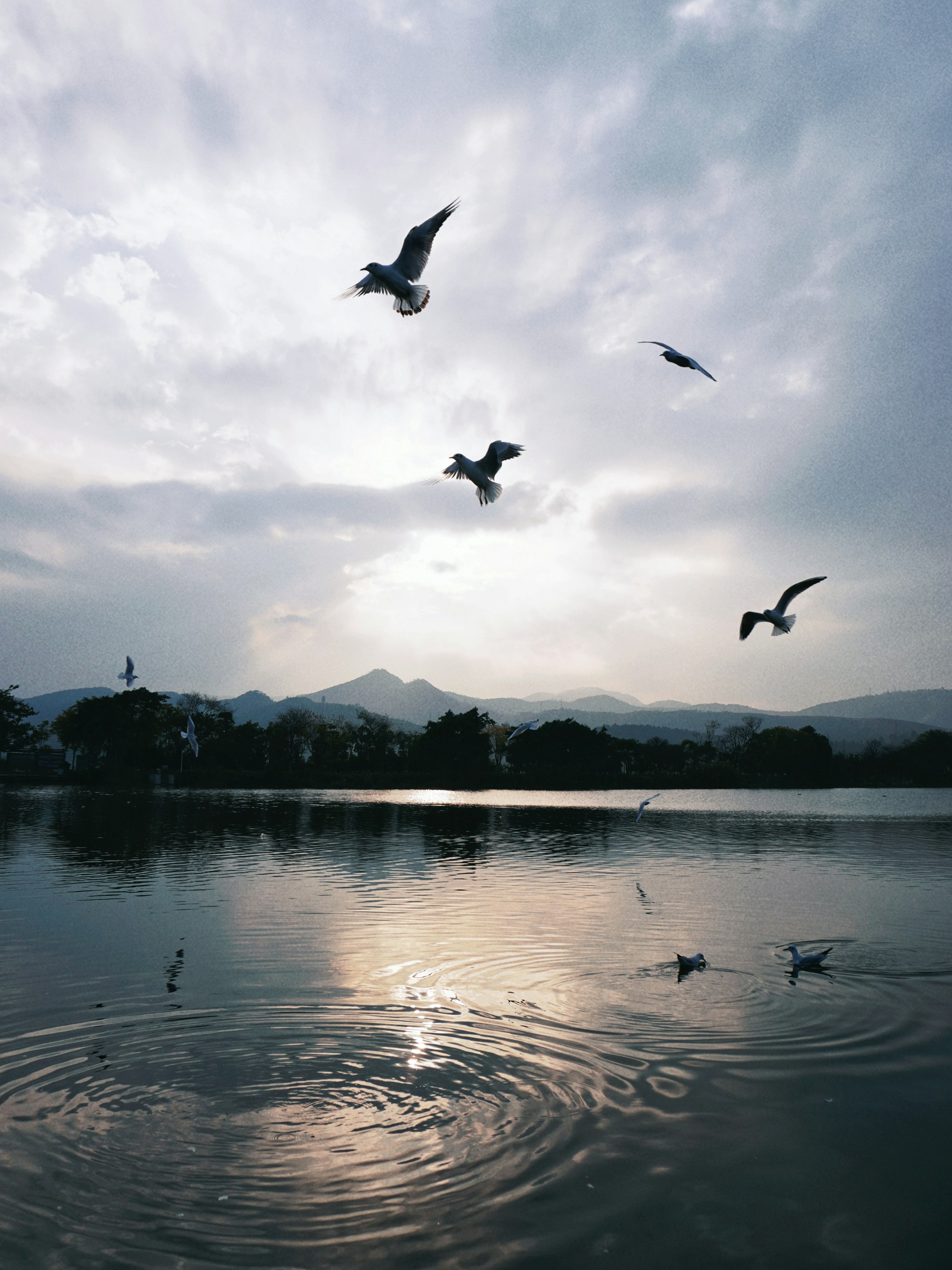 Photo by mw960367054