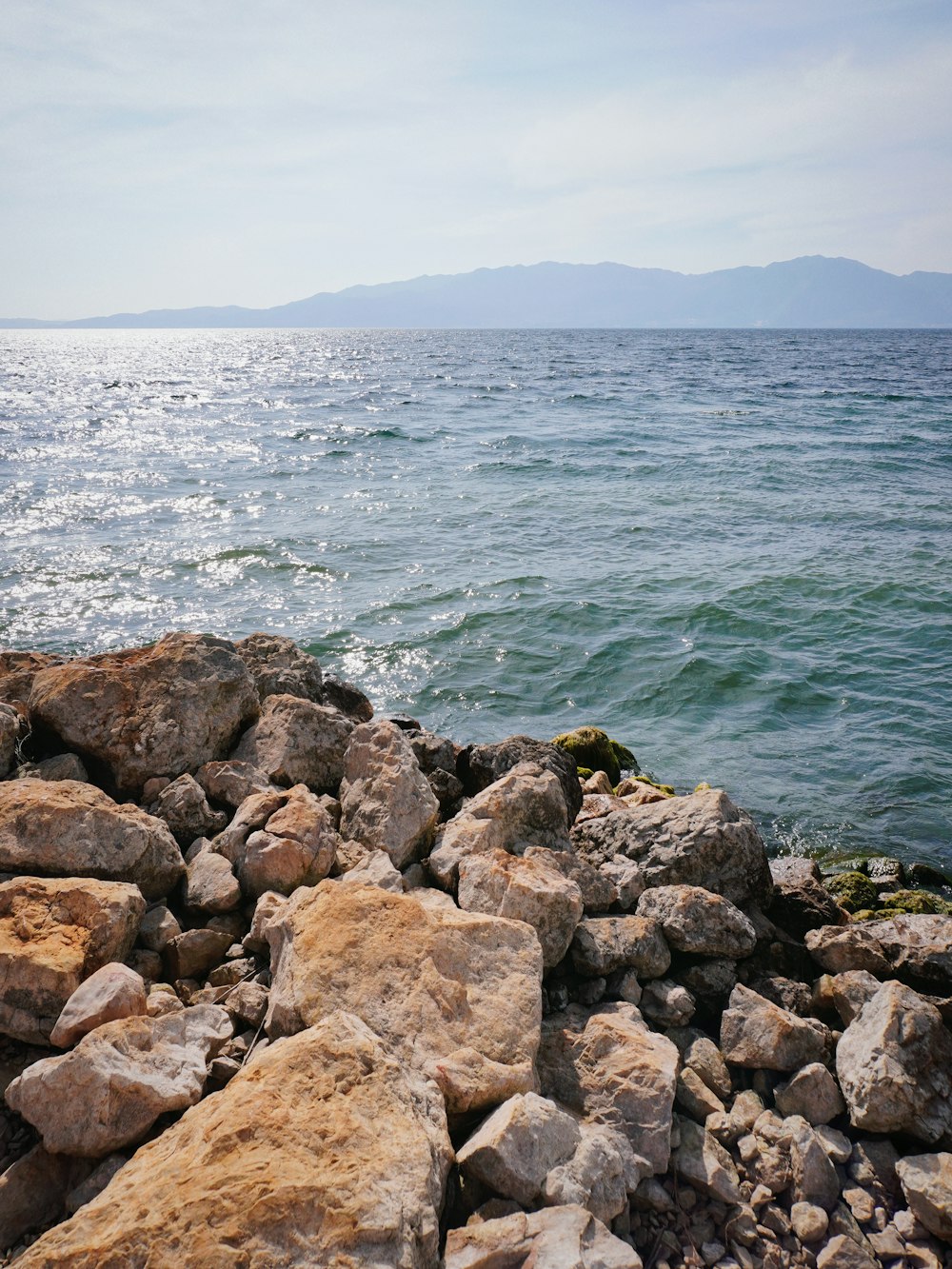a rocky shore with a body of water in the background