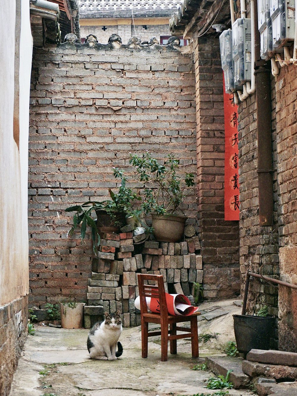 a cat sitting on the ground next to a chair