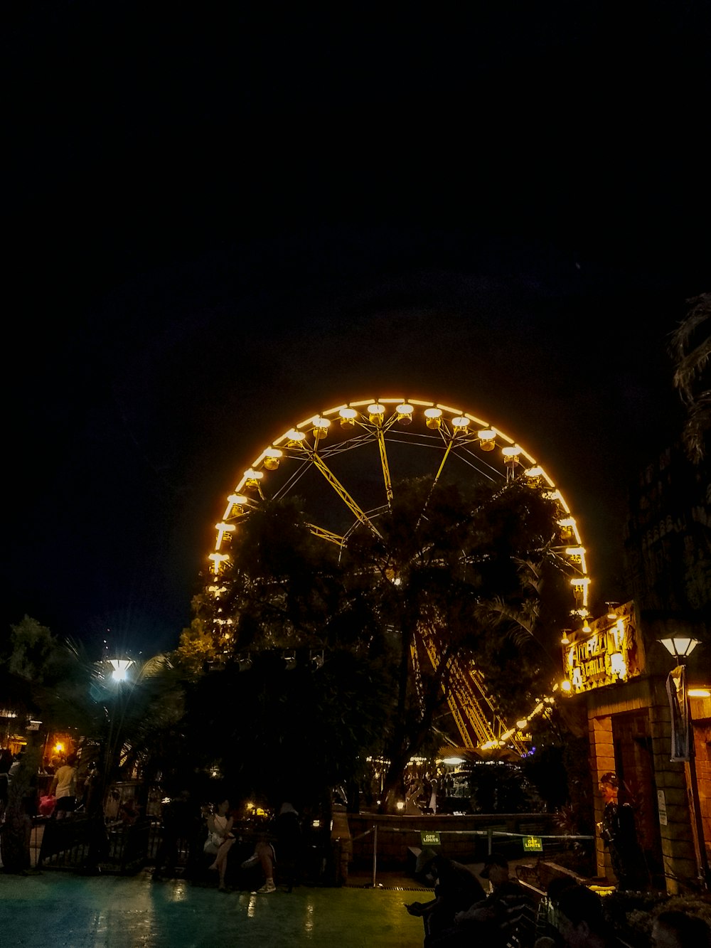 a ferris wheel is lit up at night