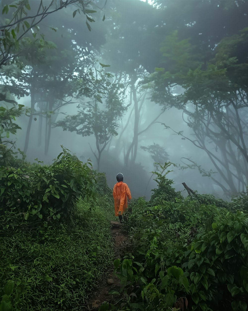 a person in an orange jacket walking through a forest