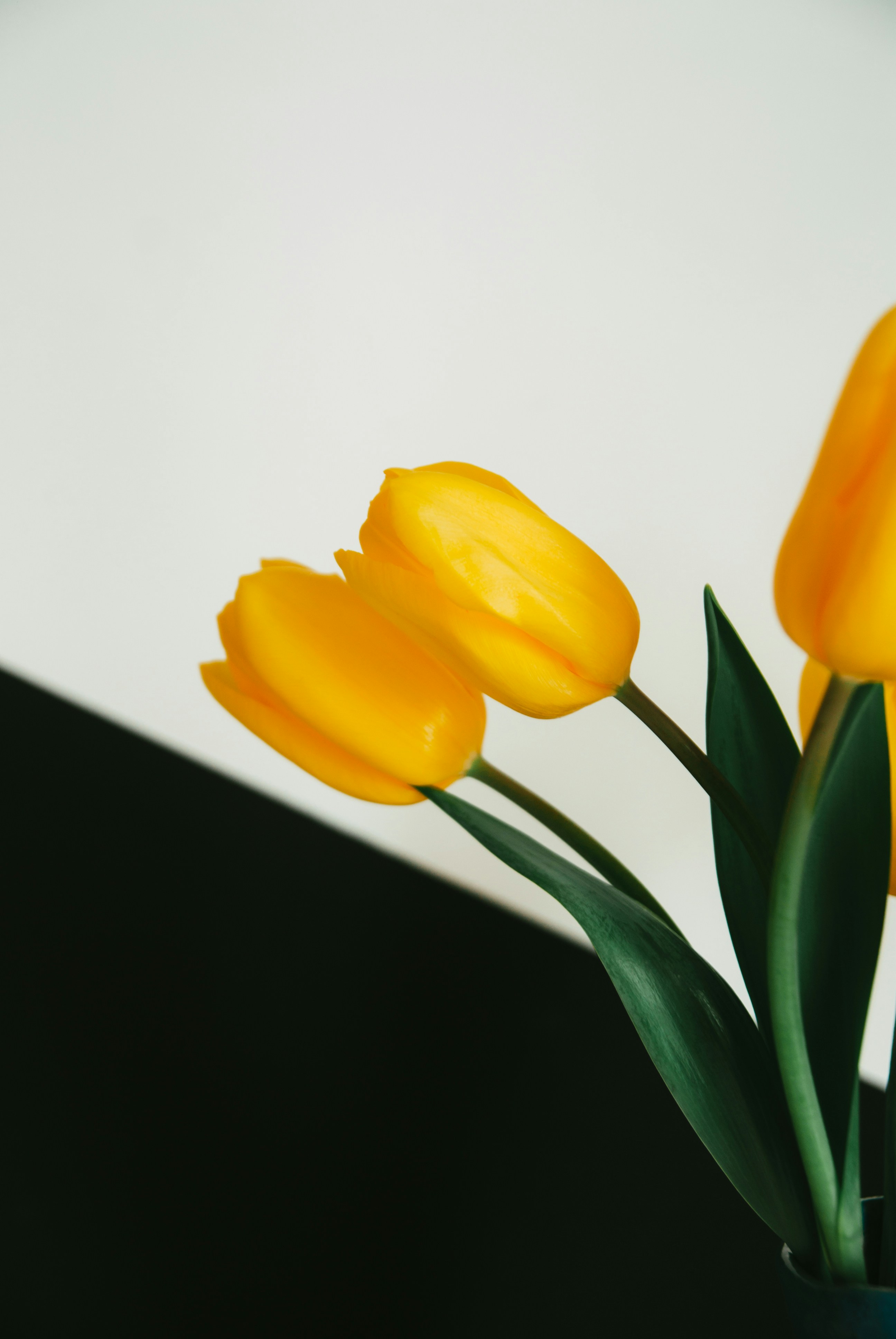 Photo by moonmoons_days