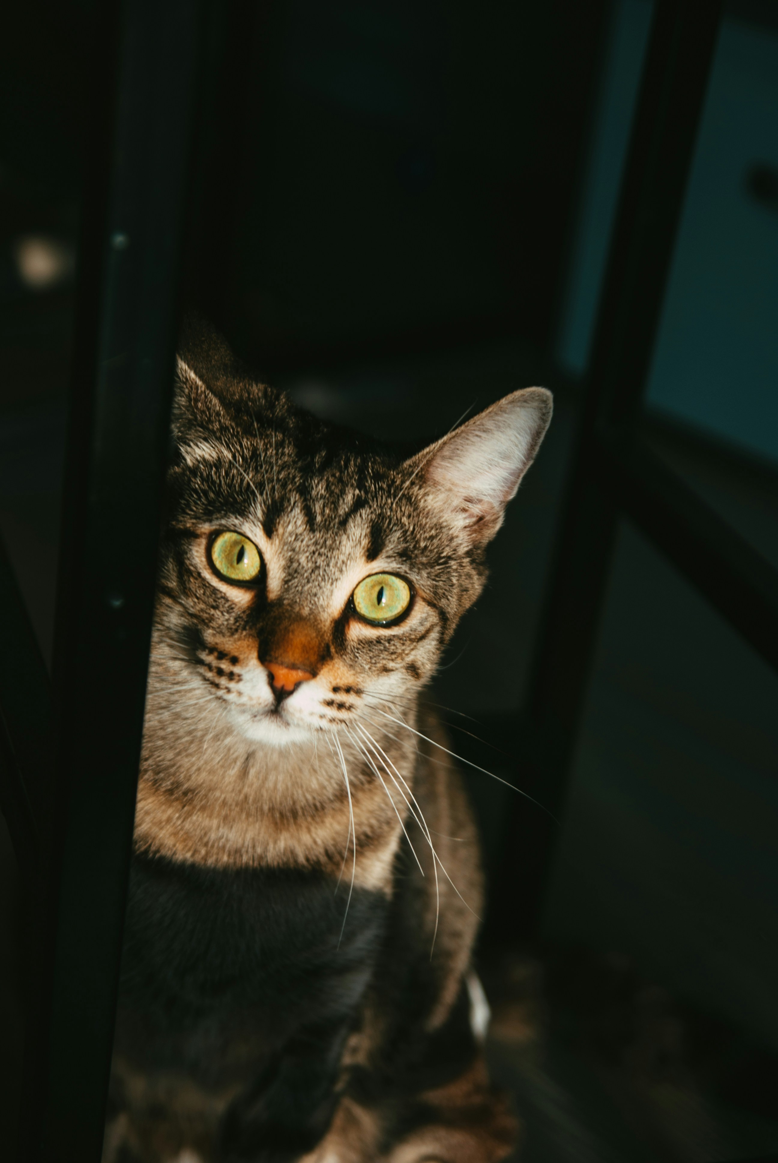 Photo by moonmoons_days