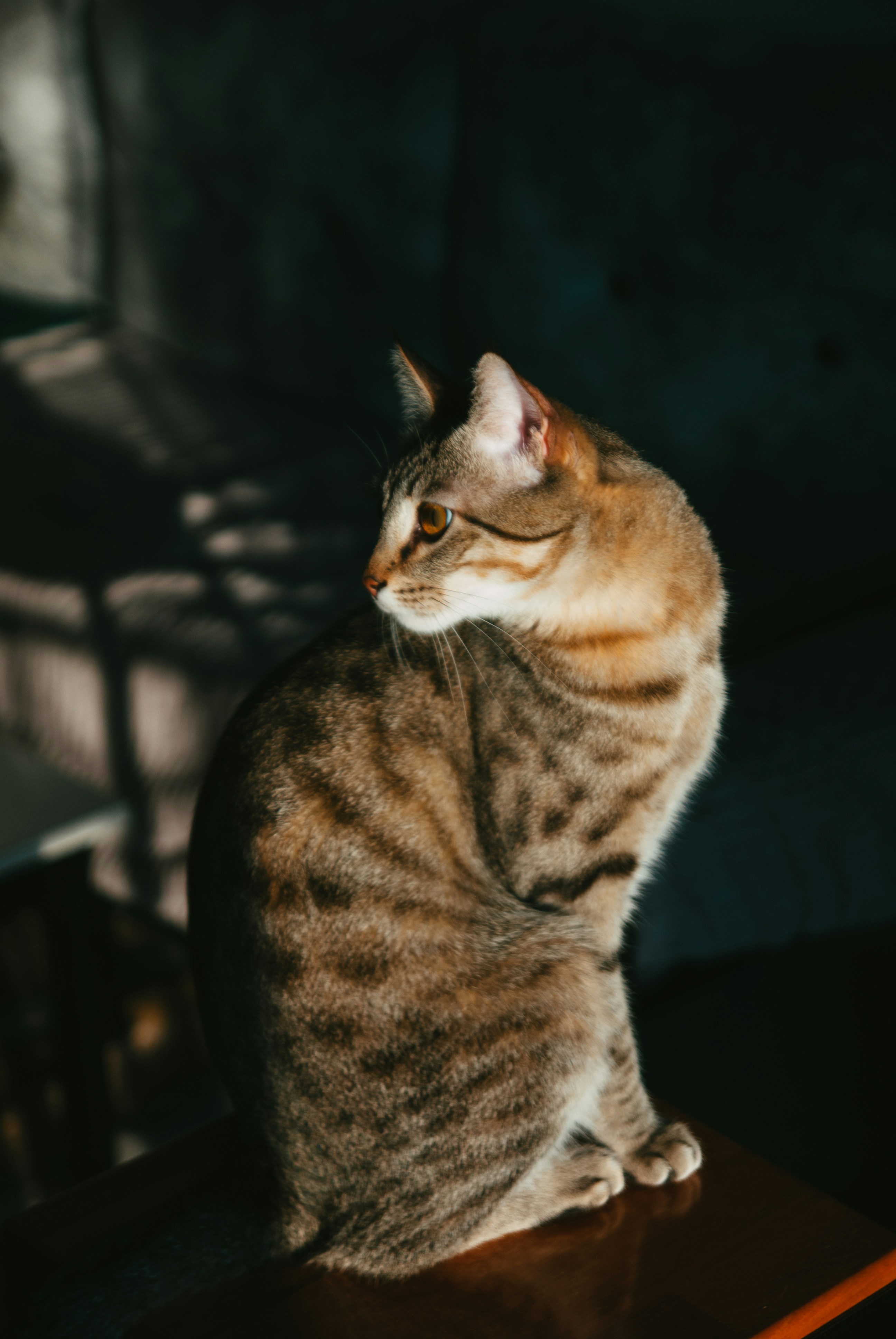 Photo by moonmoons_days